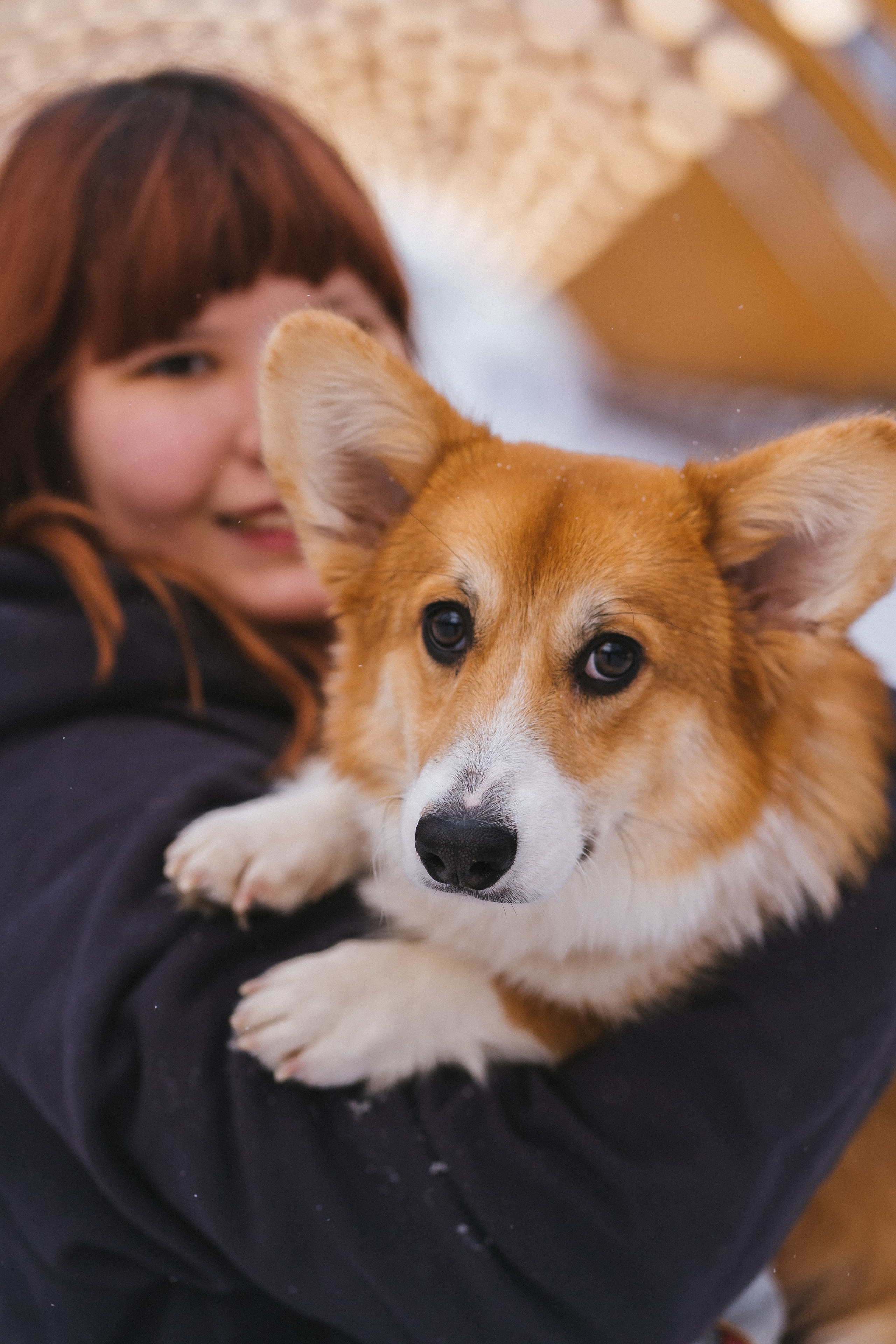Агата и Лайк. Свадебный фотограф в Москве Анна Полушина