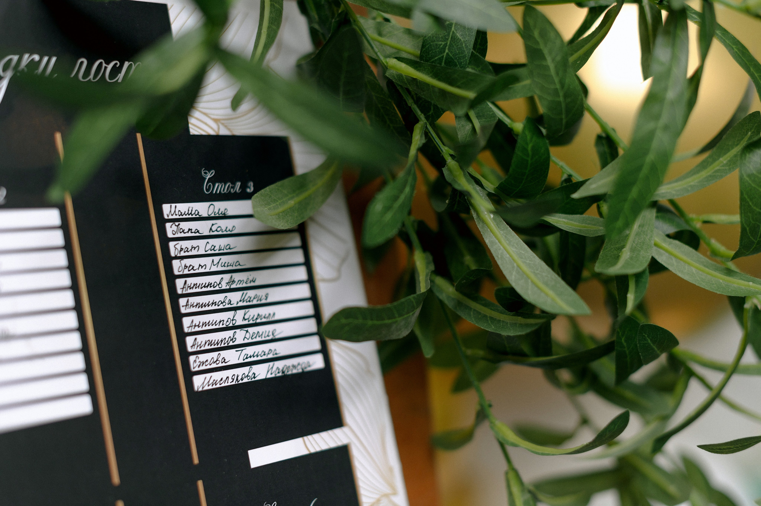 НАСТЯ и КИРИЛЛ. Шашкова Вероника / Свадебный и семейный фотограф Москва и Ярославль