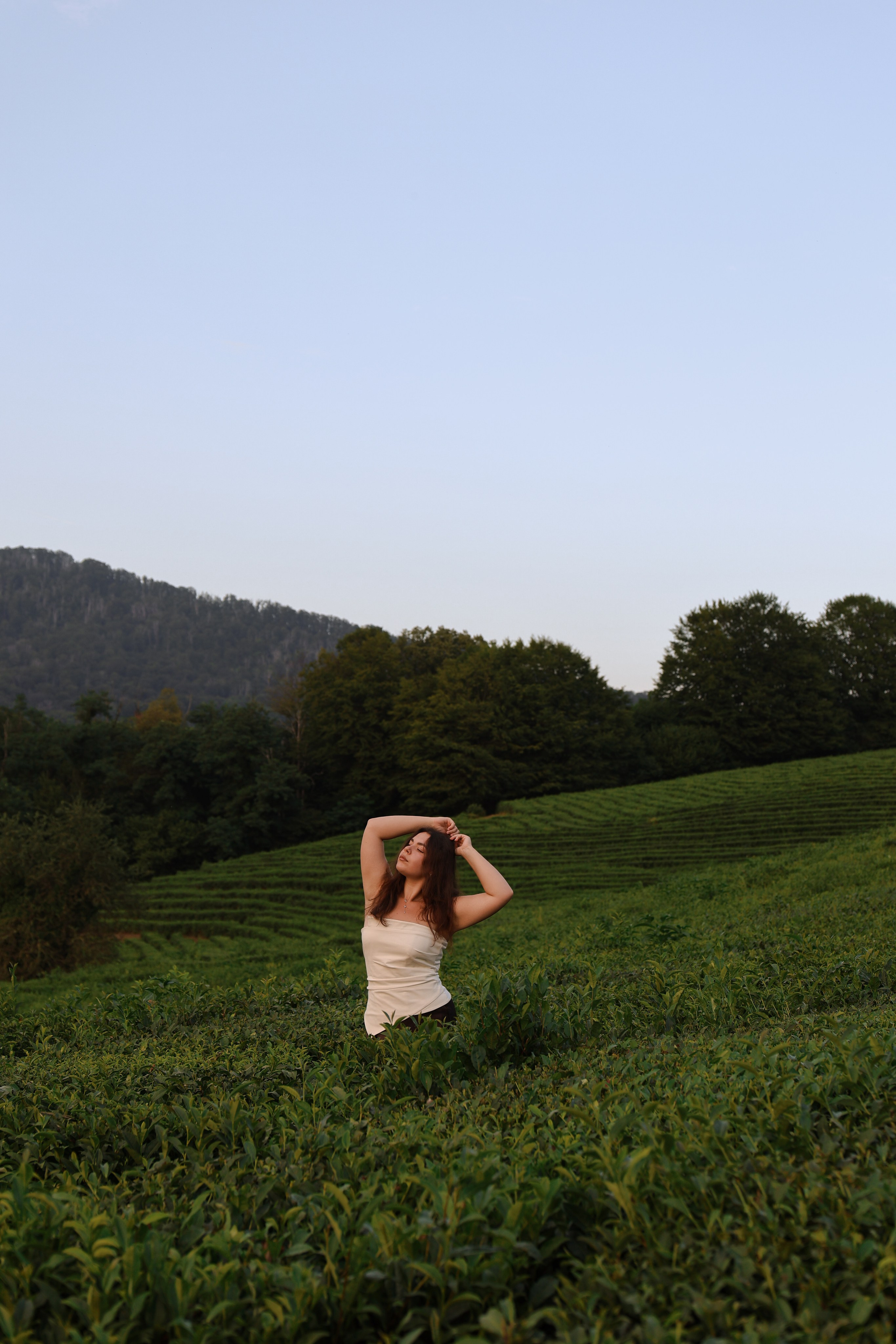 ЧАЙНЫЕ ПЛАНТАЦИИ. Фотограф Москва Оля Олбимак