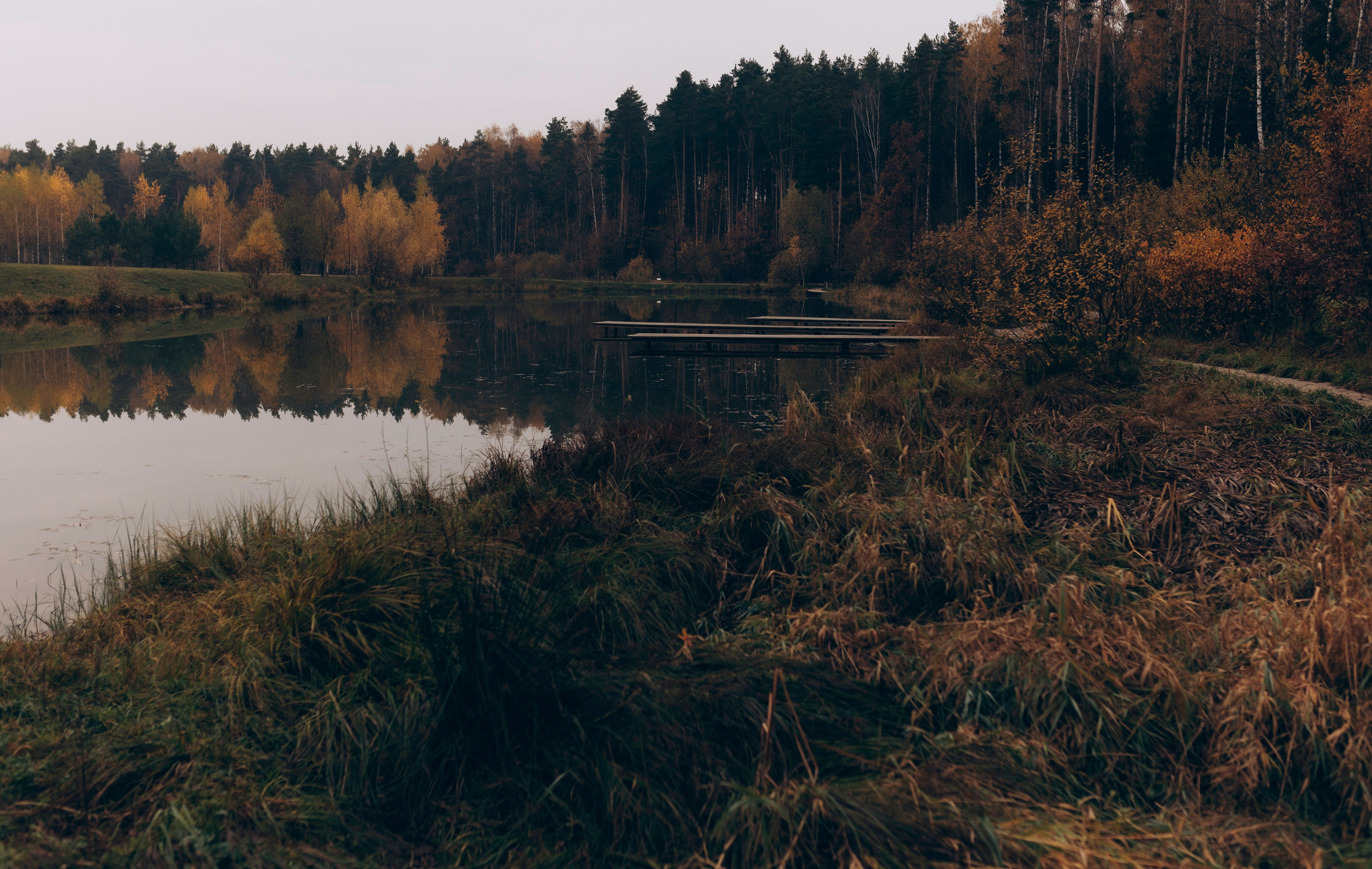 Настя и Харди. Татьяна Афонина | Фотограф
