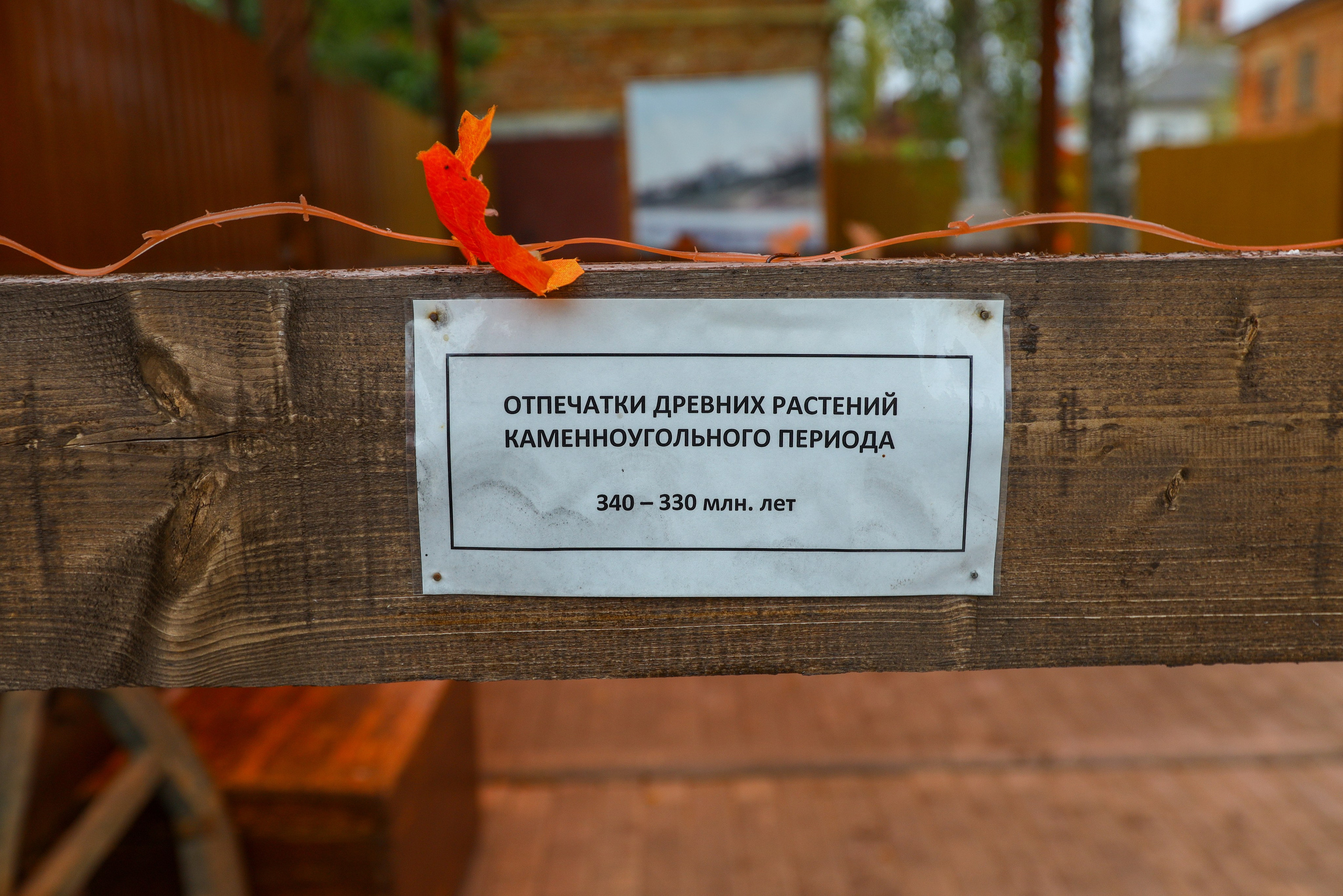 Поездка в Белев и на производство пастилы. Фотограф в Туле Крупский АнДРей. Фотостудия «КАДР71» в Туле