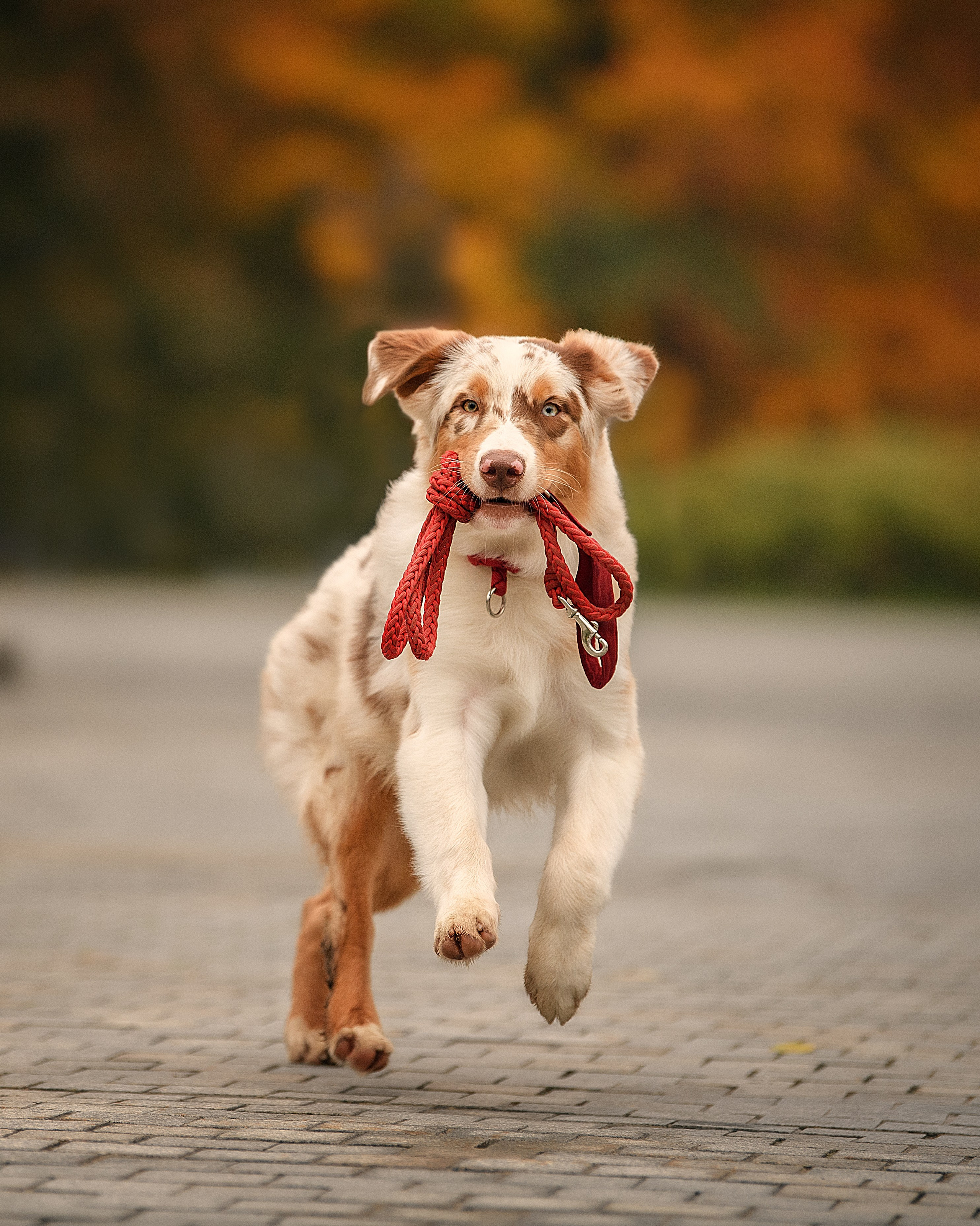 ТОП-100 мест для фотосесии в Москве и МО. Женский фотограф в Москве Богдашкина Динара
