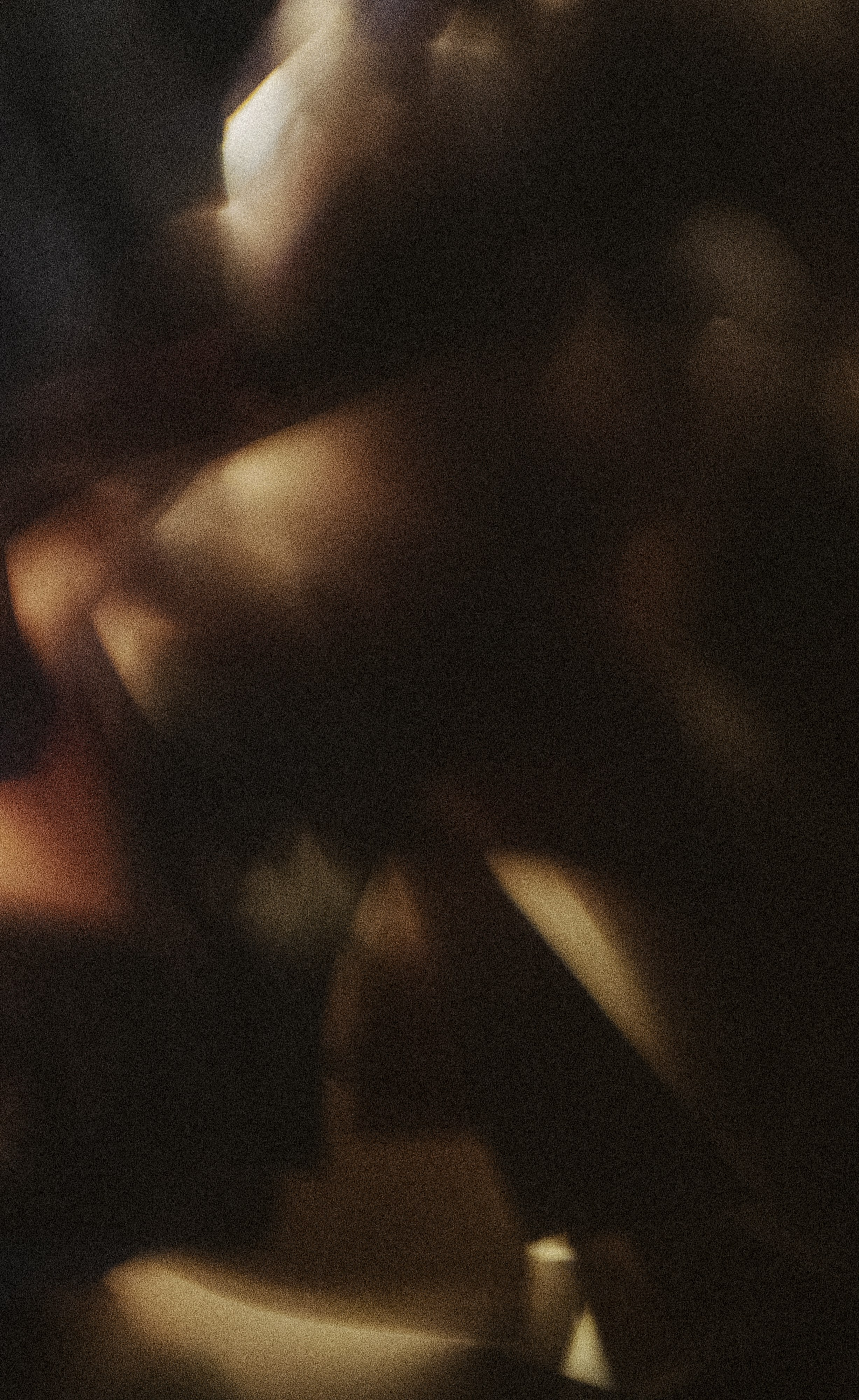 Rara Avis Fashion Show 2026. Fusion Wedding Photographer