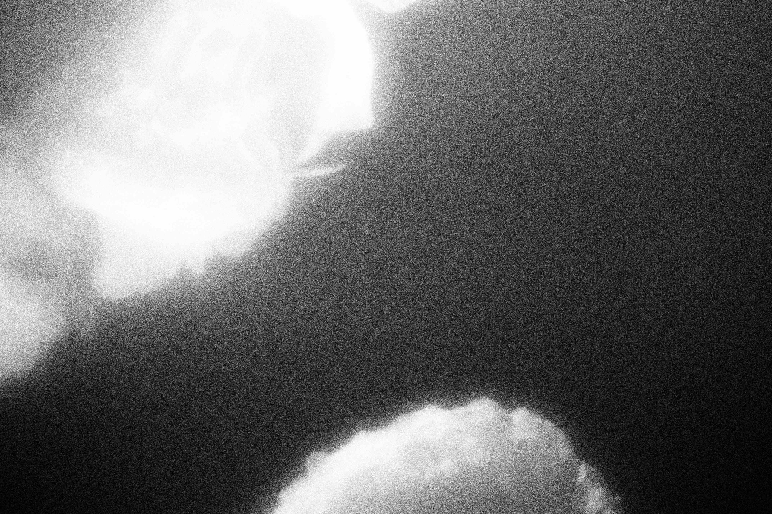 «Видеть. Чувствовать. Сохранять»