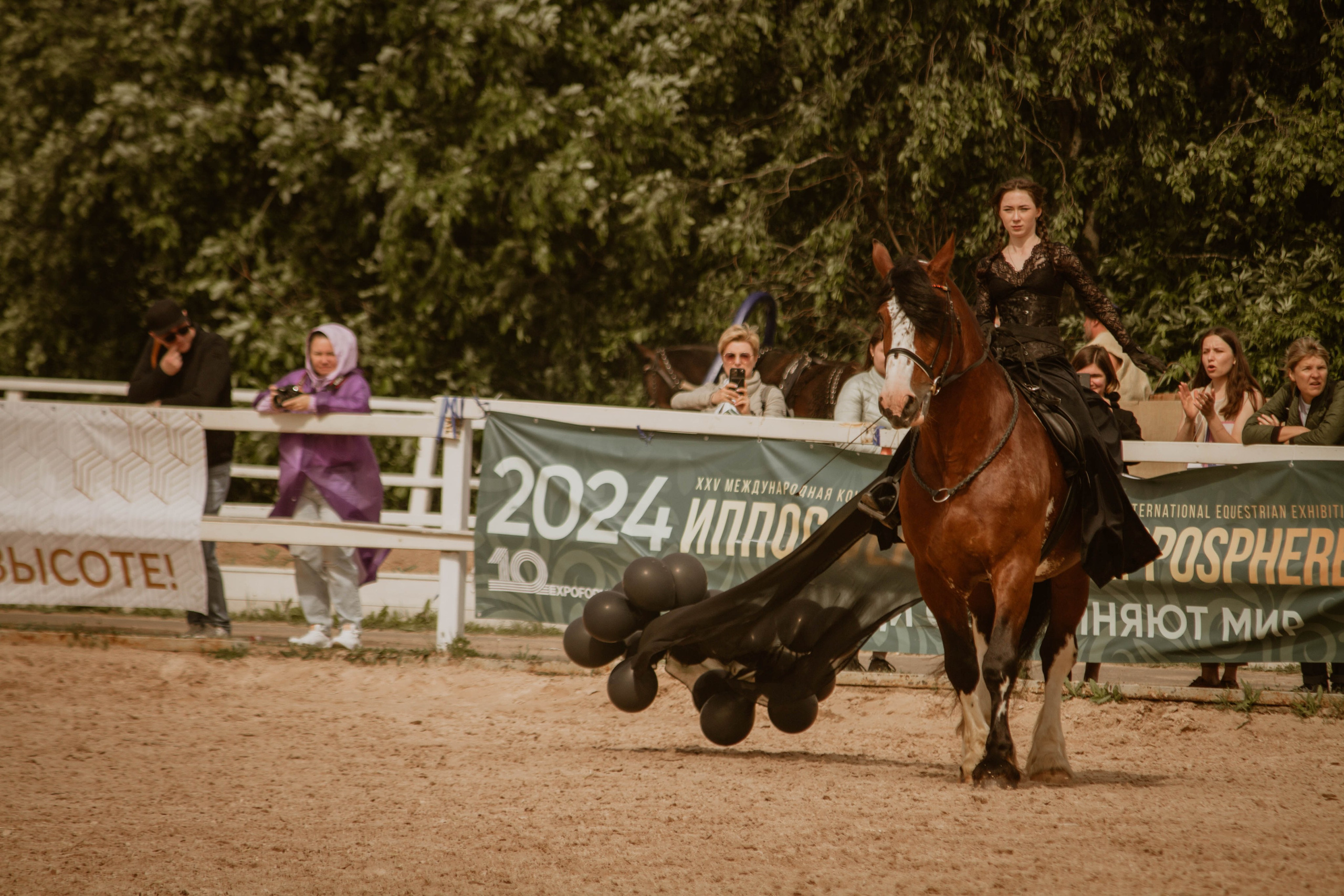 ИППОСФЕРА — Международная конная выставка. Создадим шедевр? Виталина и её фотоискусство