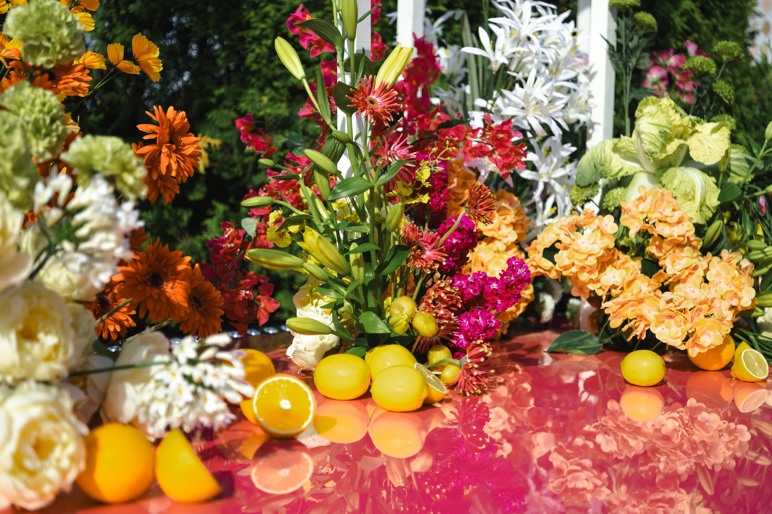 Яркие и смелые. Свадебный фотограф Ростов-на- Дону, Краснодар, Москва