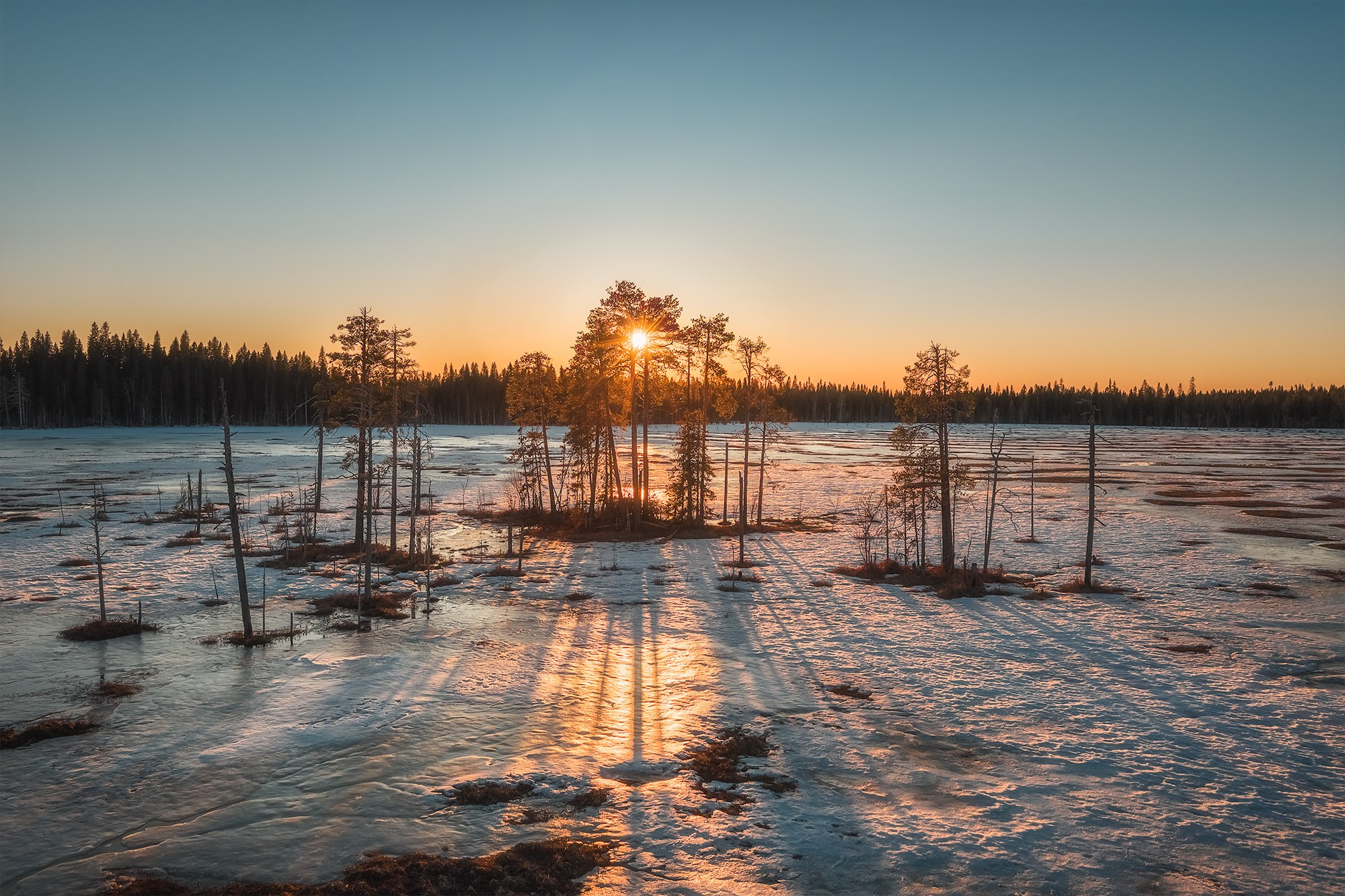Пейзаж. Фотосъемка в Архангельске, фотограф Александр Ермолин