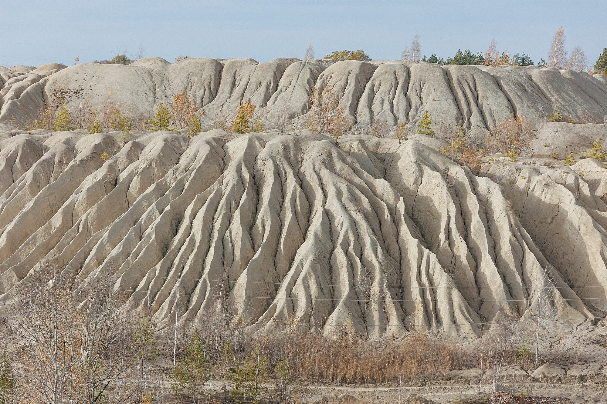Новоизборский КНМ. Боченков Вадим | Фотограф в Пскове и Санкт-Петербурге