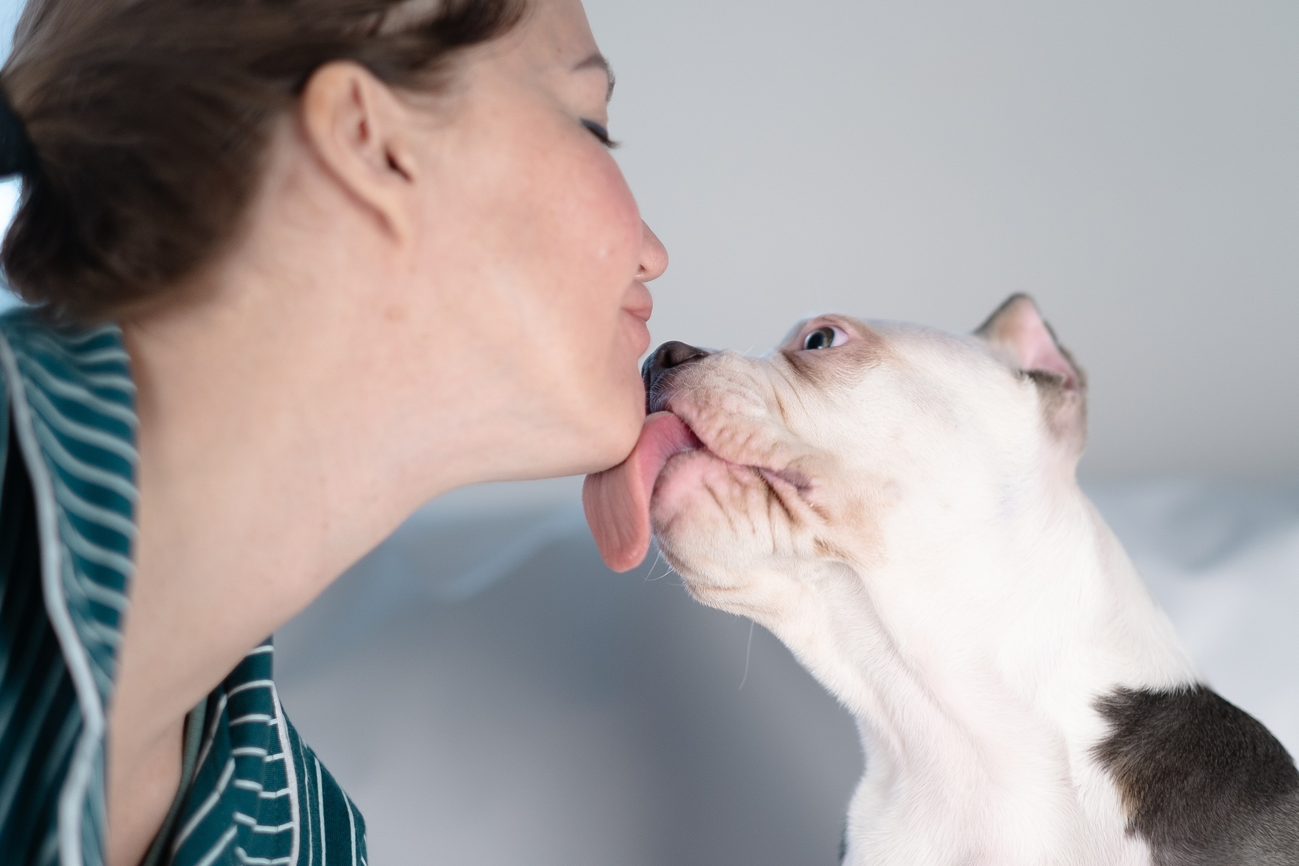 Зевс. Фотограф и видеограф анималист Аганина Дарья