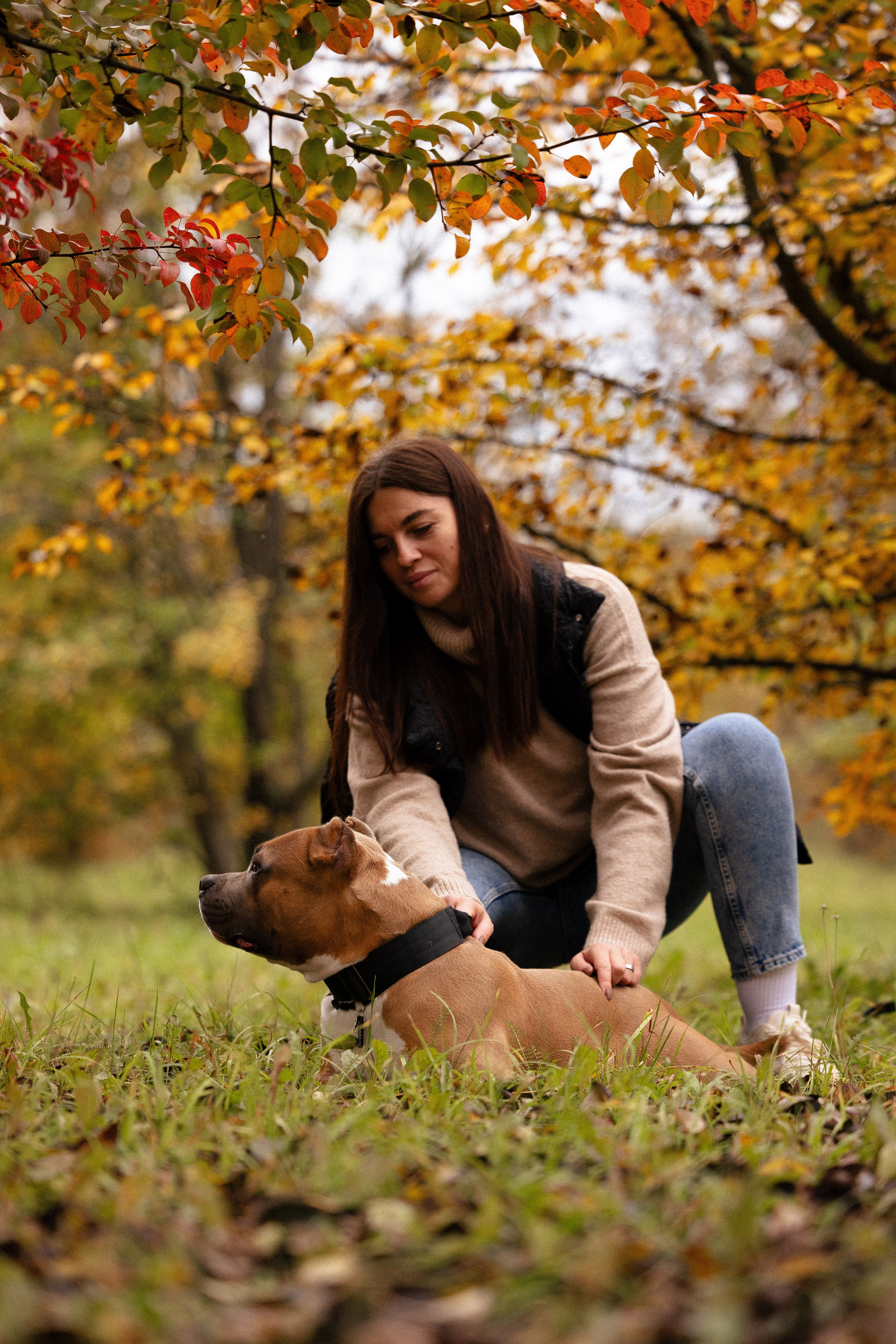 Алена и Тор. Фотограф и видеограф анималист Аганина Дарья