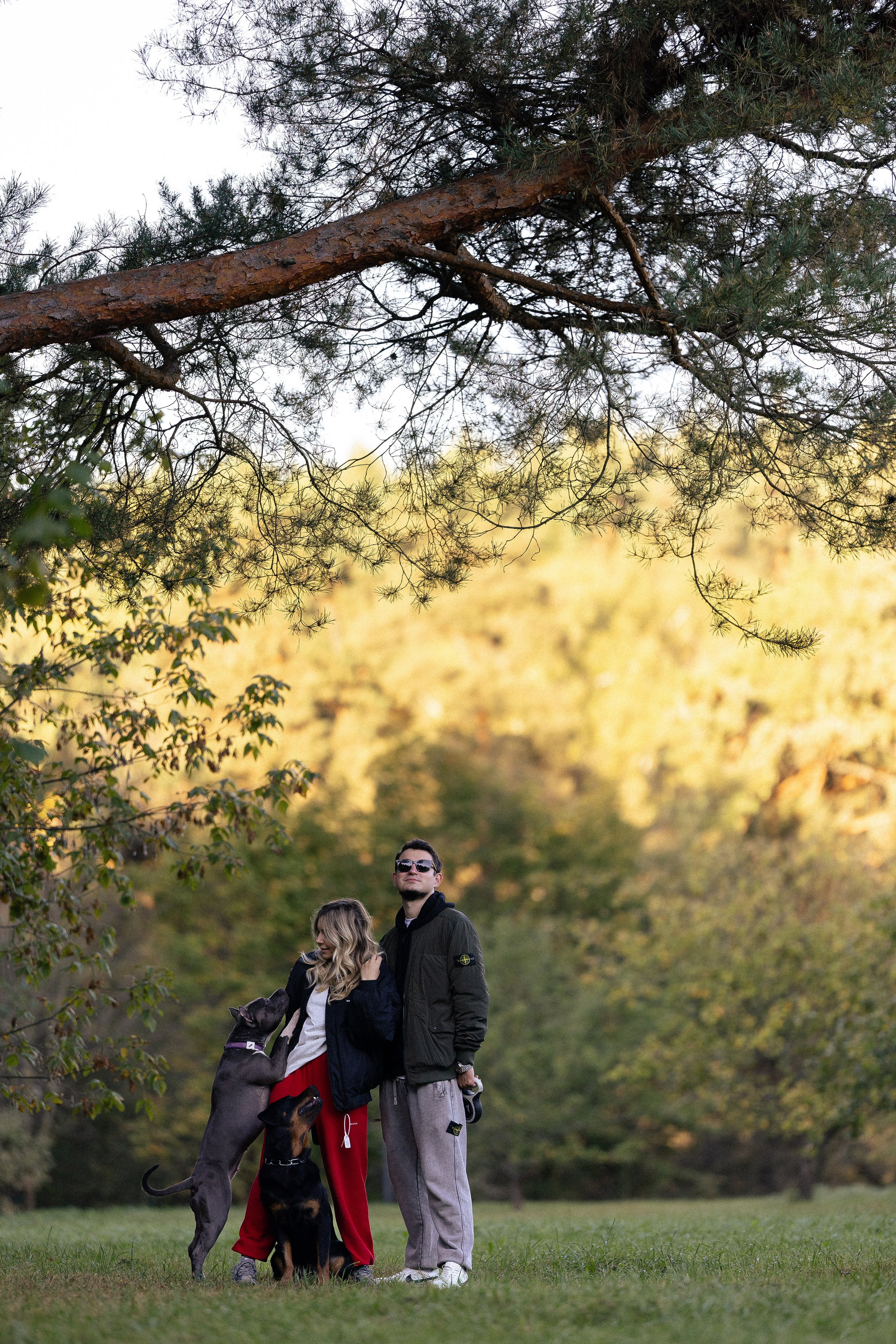 Катя, Леша, Лея и Трой. Фотограф и видеограф анималист Аганина Дарья