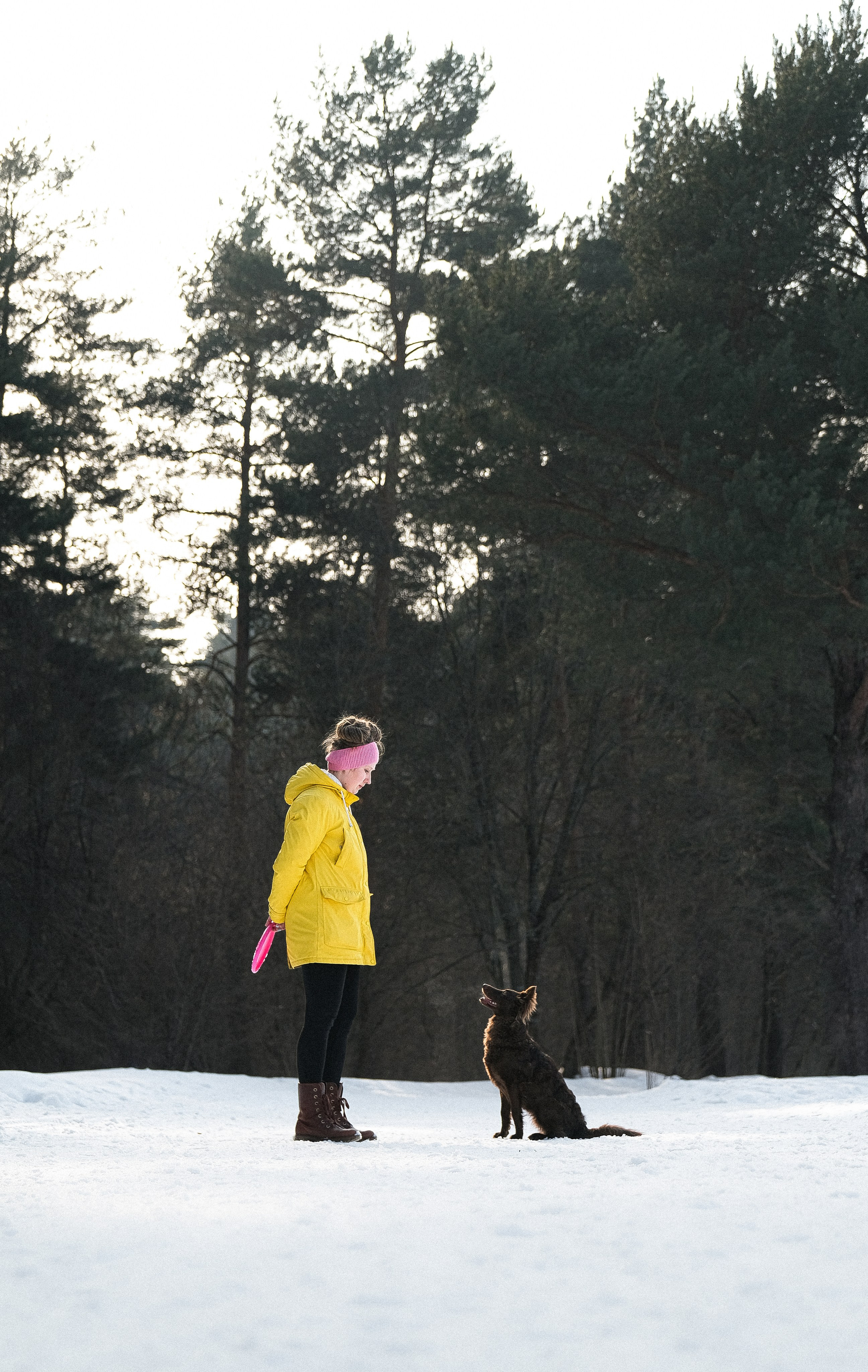 Маша и Одиссея. Фотограф и видеограф анималист Аганина Дарья