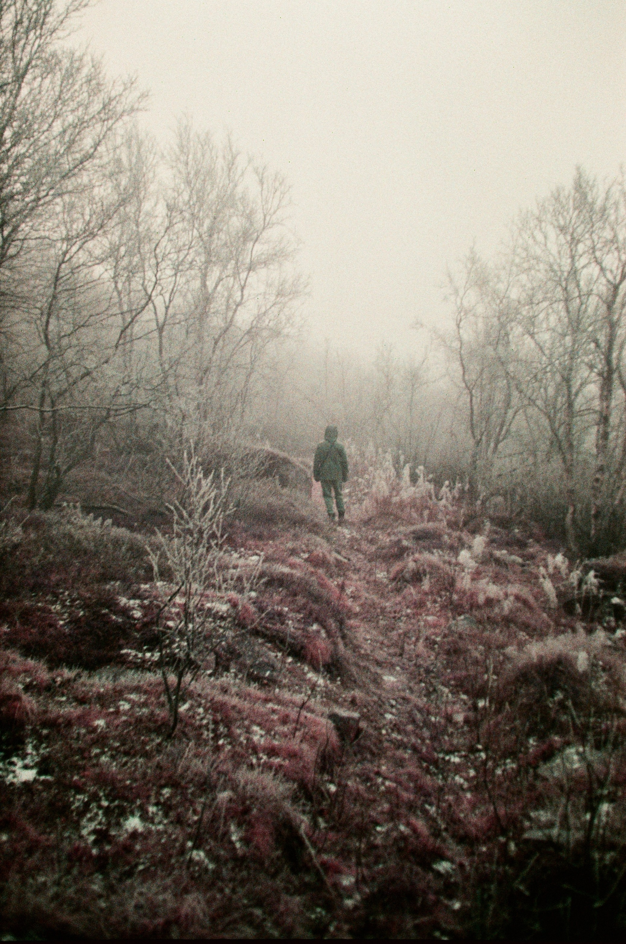 Пленка. Фотограф в Мурманске Полина Аленовская