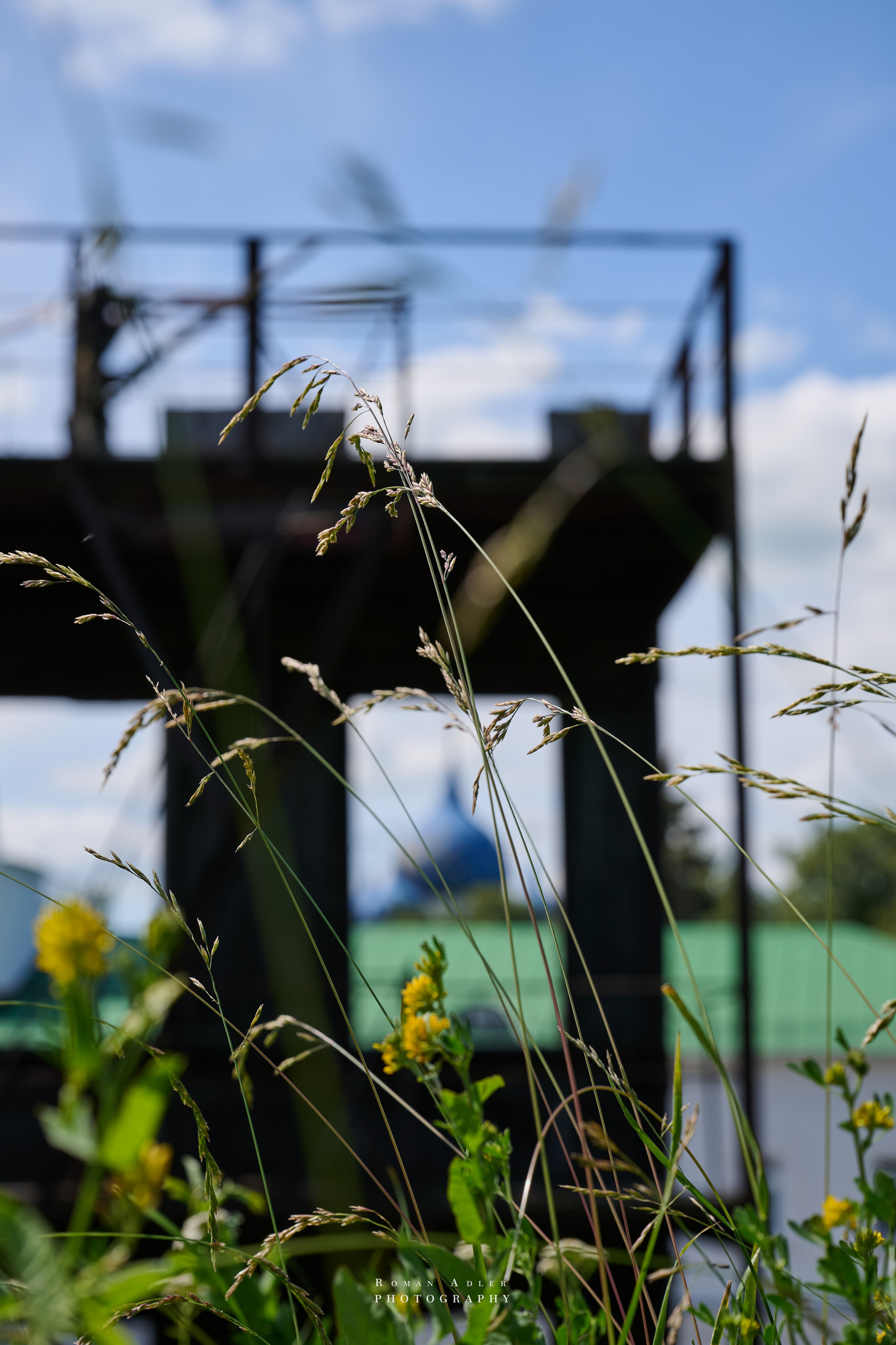 Суздаль. Июнь 2025. Фотограф Роман Адлер