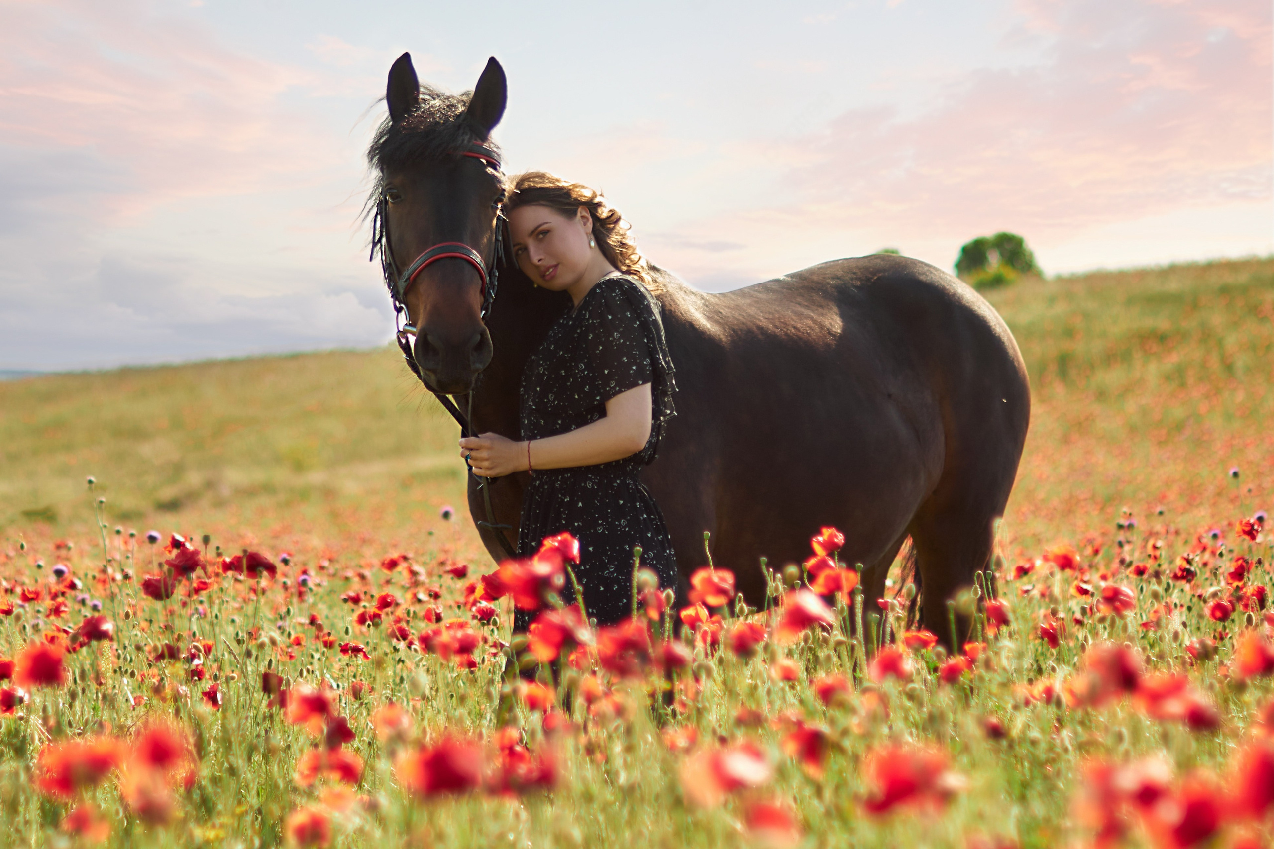 Фотосессия с лошадью Севастополь. Фотограф в Севастополе