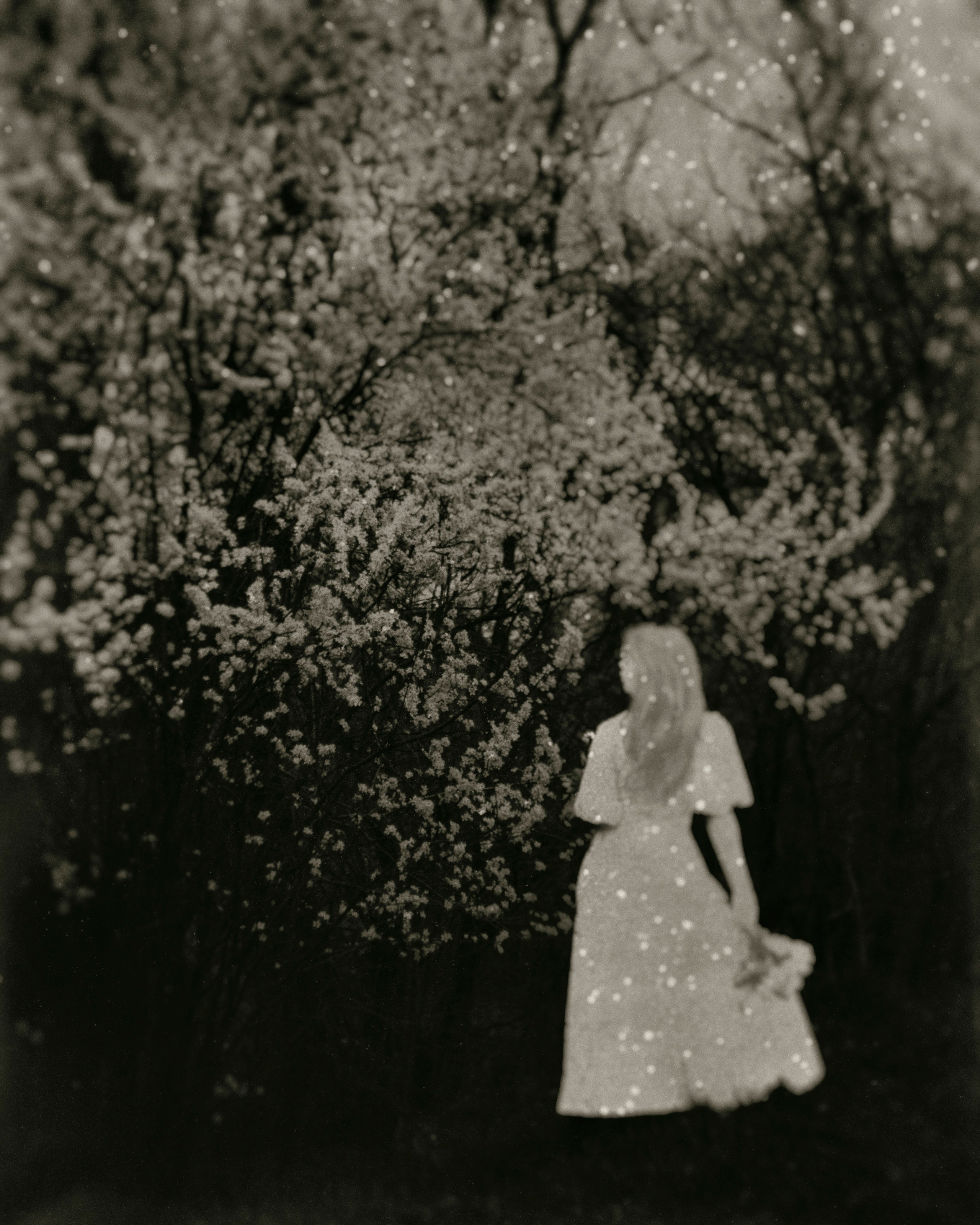 Child of the forest. Visual artist