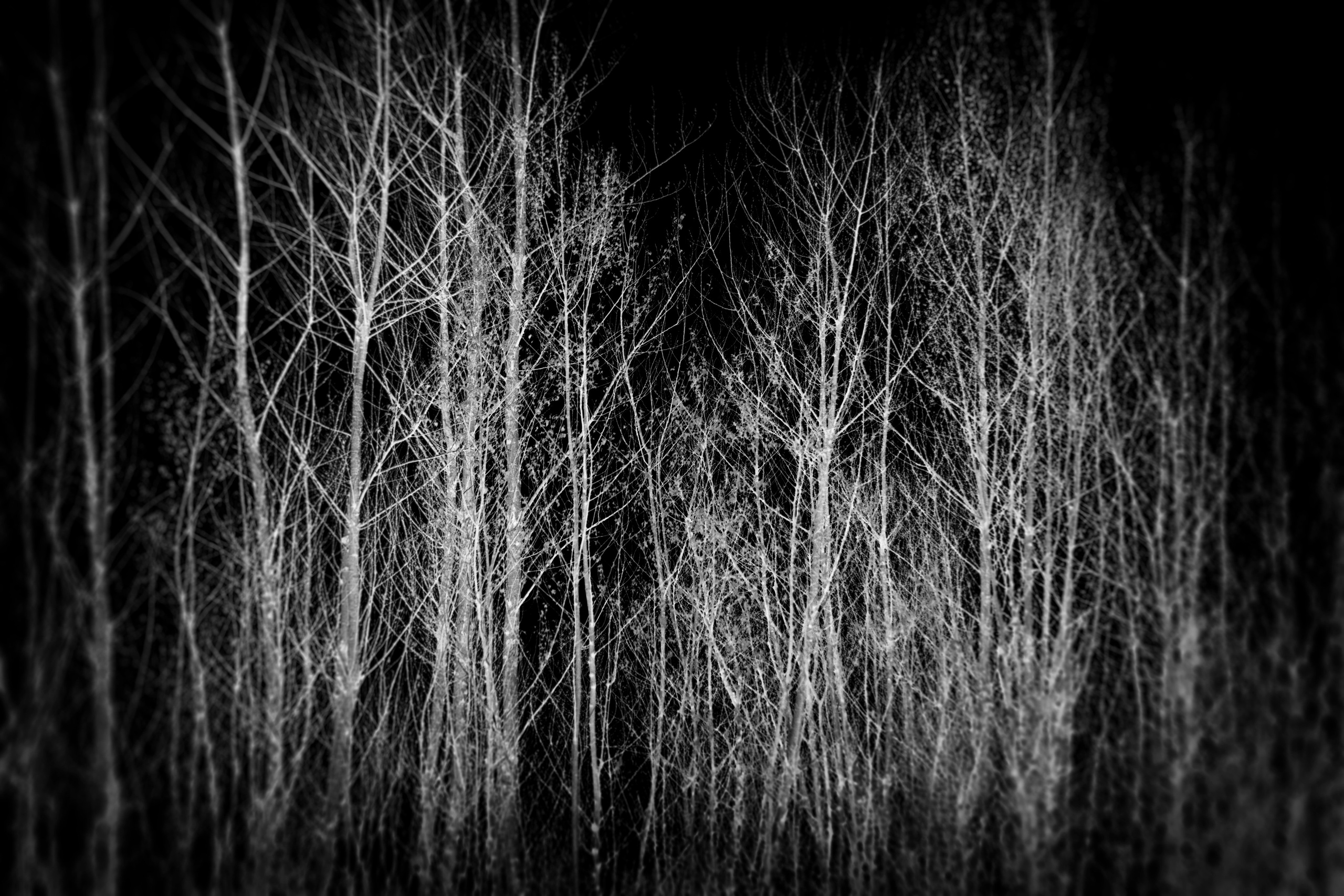 Homeland Adygea. Visual artist