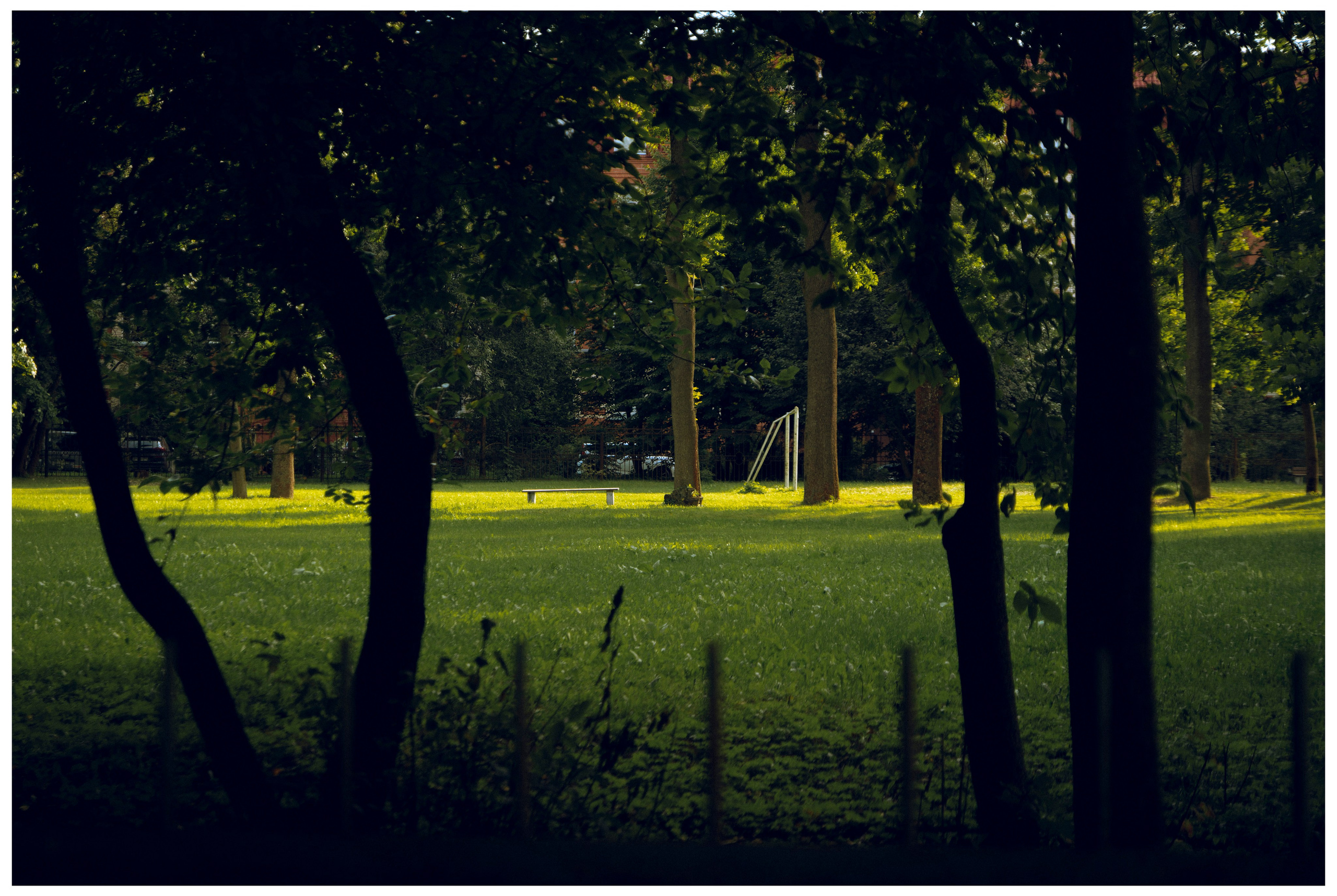 Из наблюдений. Плак или Квак