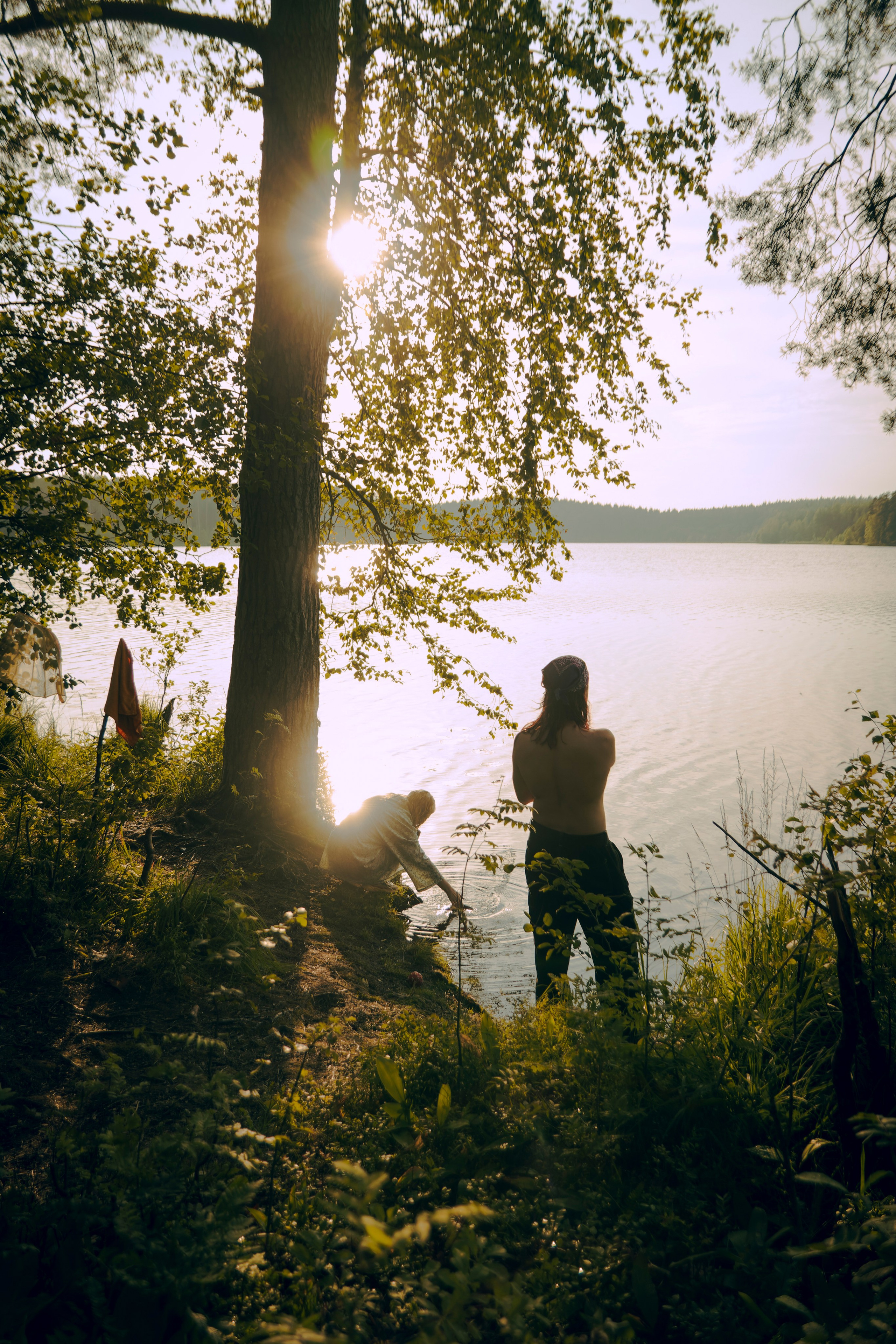 Из наблюдений. Плак или Квак