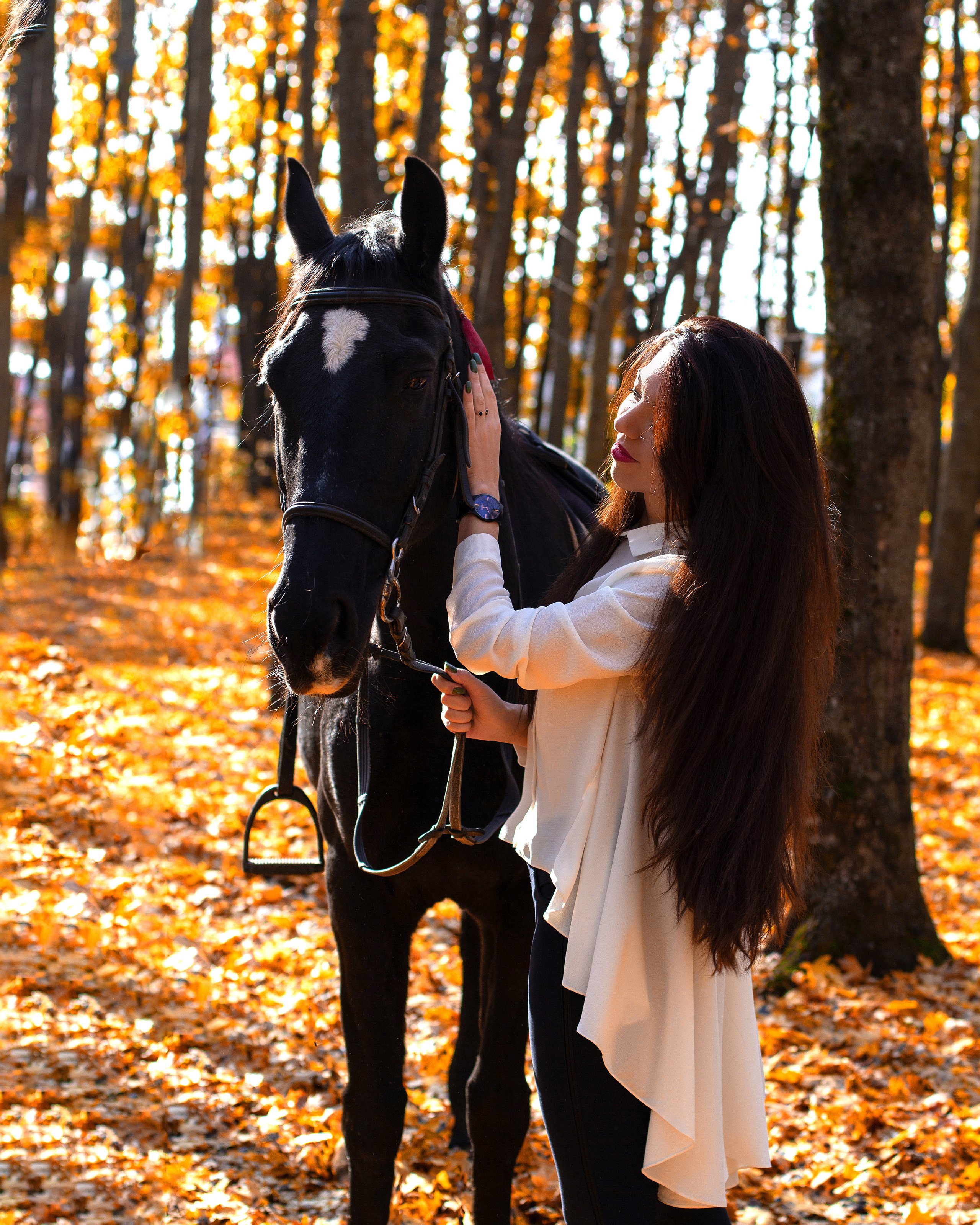Осень…. Фотограф Алёна Толмачева. Воронеж