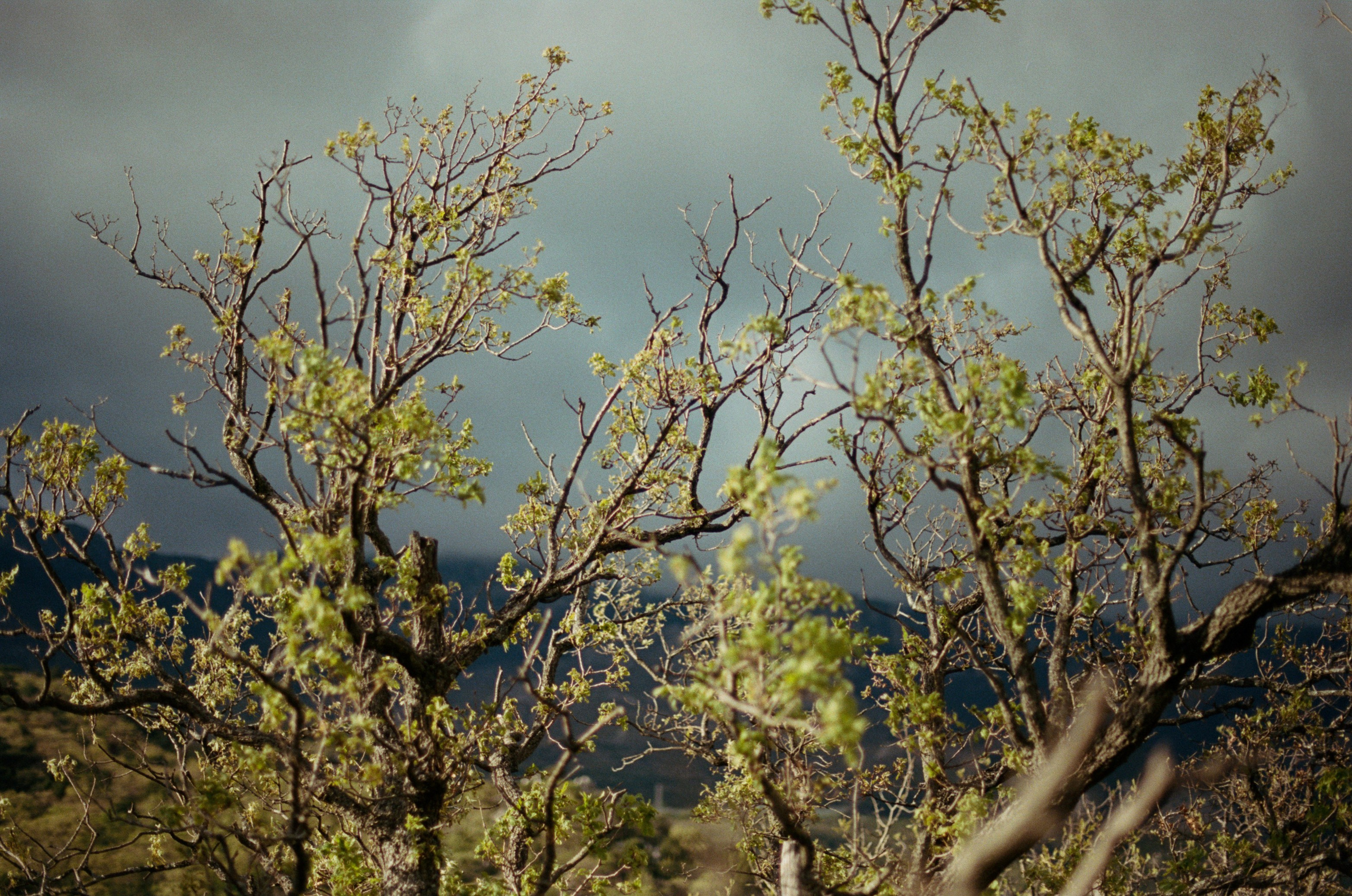 This time // ukraine, crimea VI. EVER EXPOSED