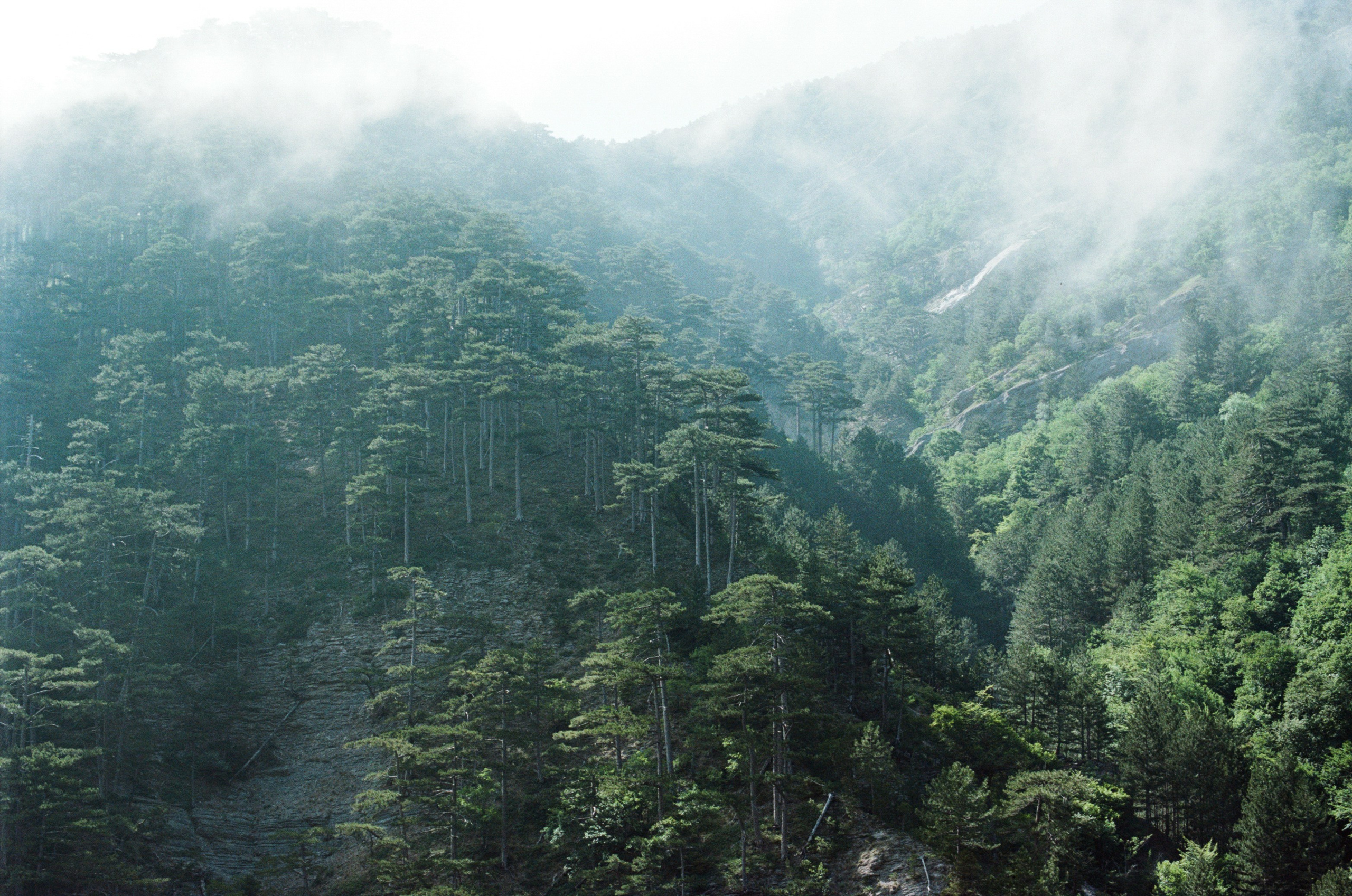 Kool-aid // ukraine, crimea II. EVER EXPOSED