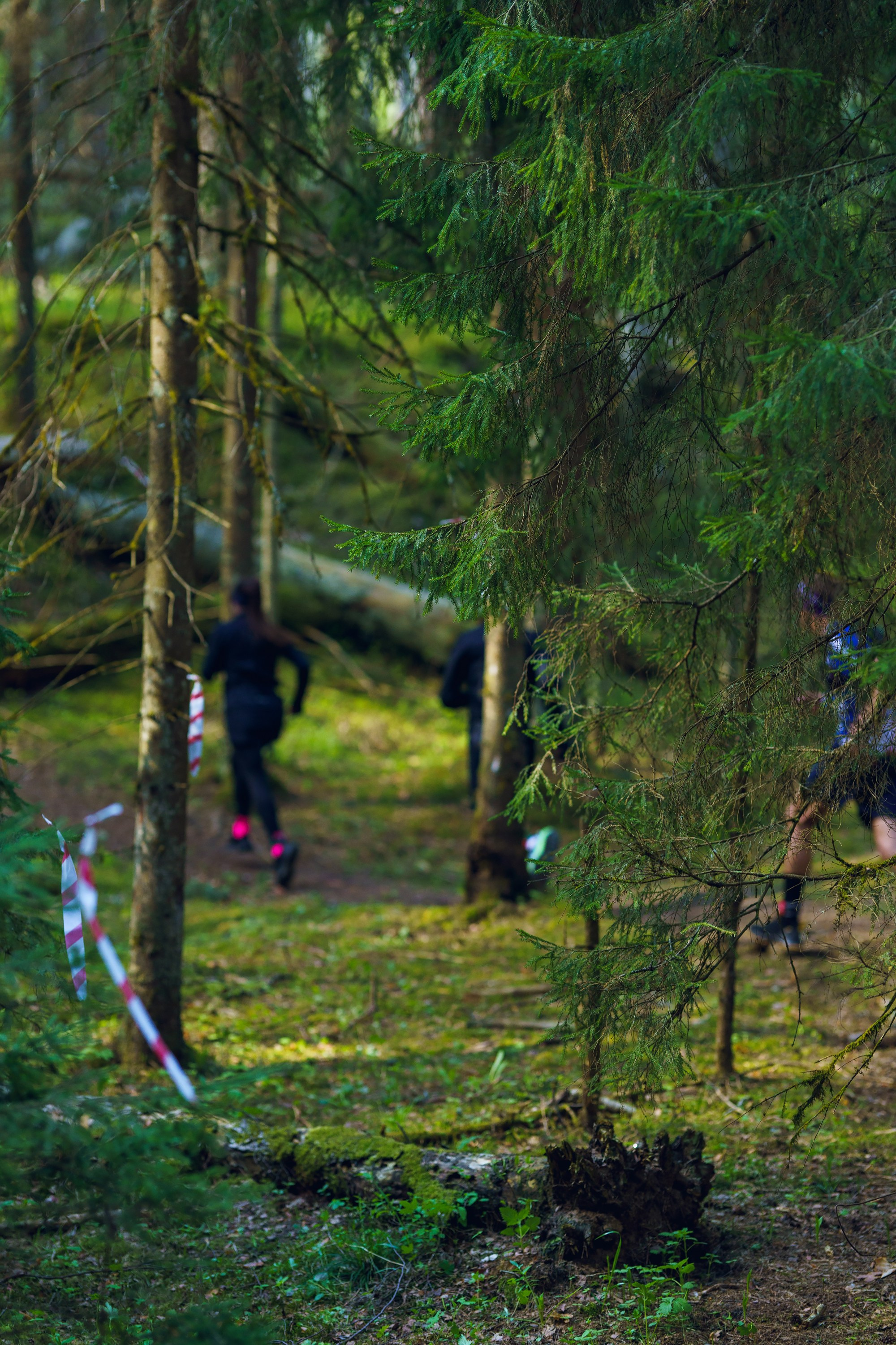 Фотографии Трейл Я помню. Стрелковка 2025. Фотограф спортивные события, недвижимость, турбизнес