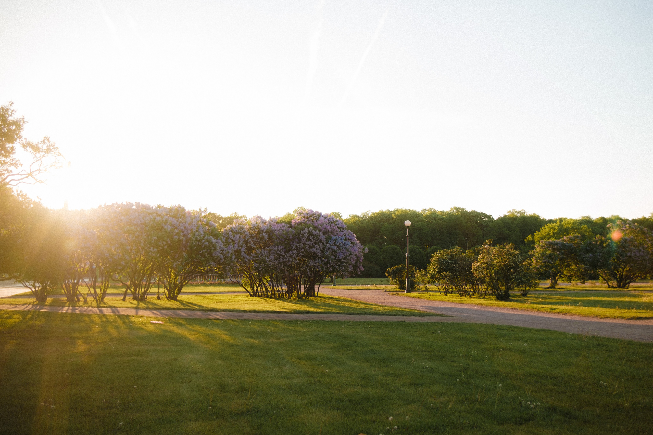 Утром на марсовом поле. Михаил Долганов