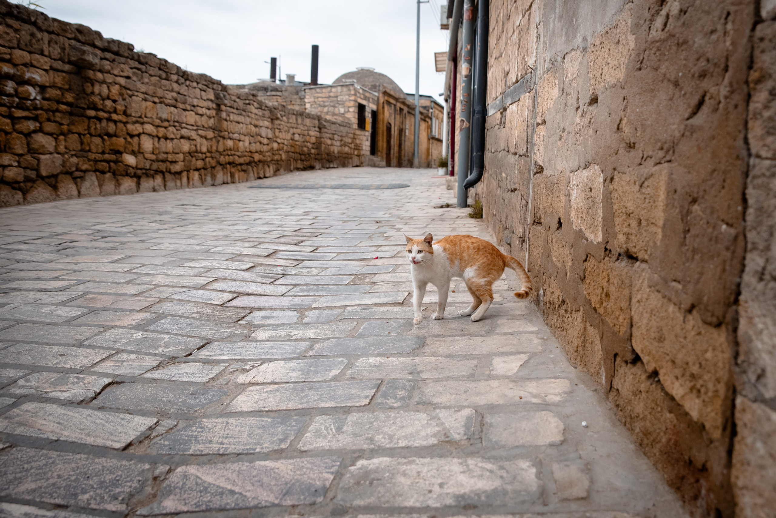 Дагестан. Фотограф Крещение Венчание Москва