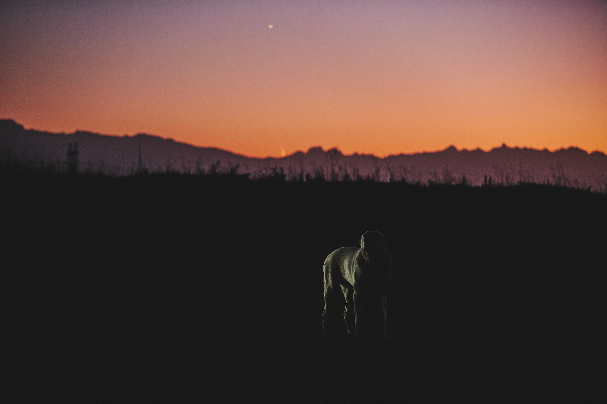 Rostelecom Severnaya Osetia. Святослав Лебедев | Рекламный фотограф — Коммерческая съемка, Арт-дирекшн, AI-интеграция