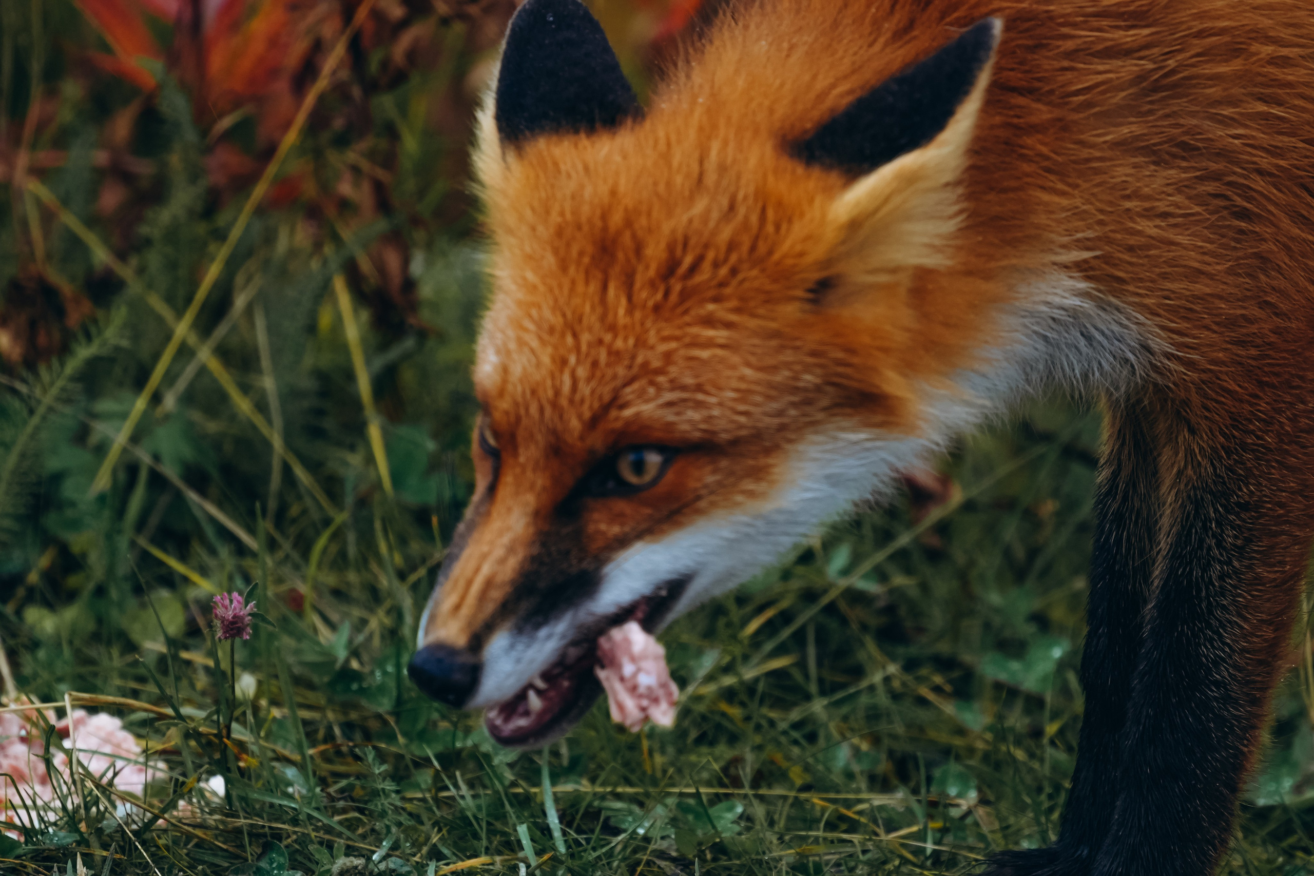 СЕВЕР. Event фотограф Степанова Александра