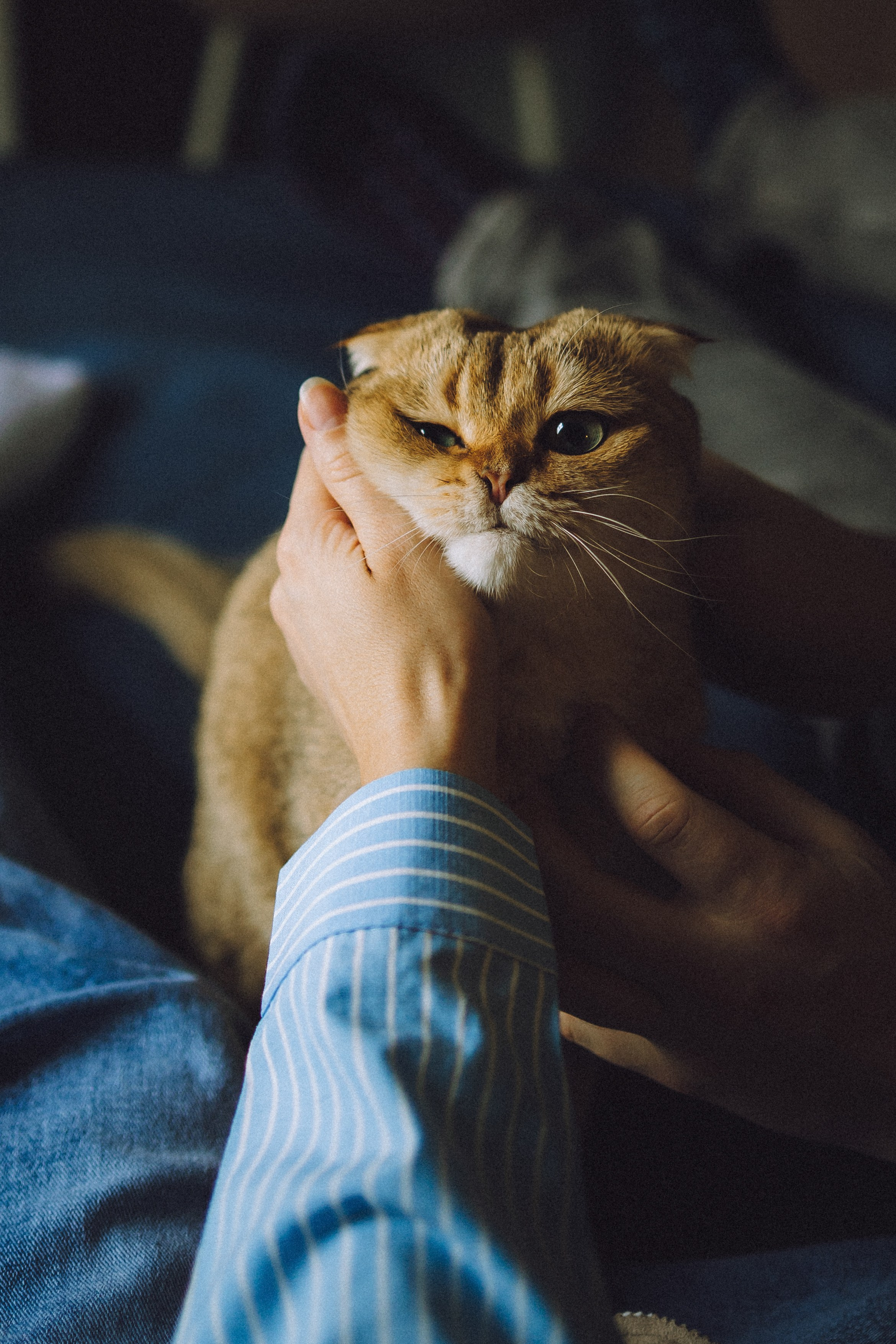 Генри и его семья