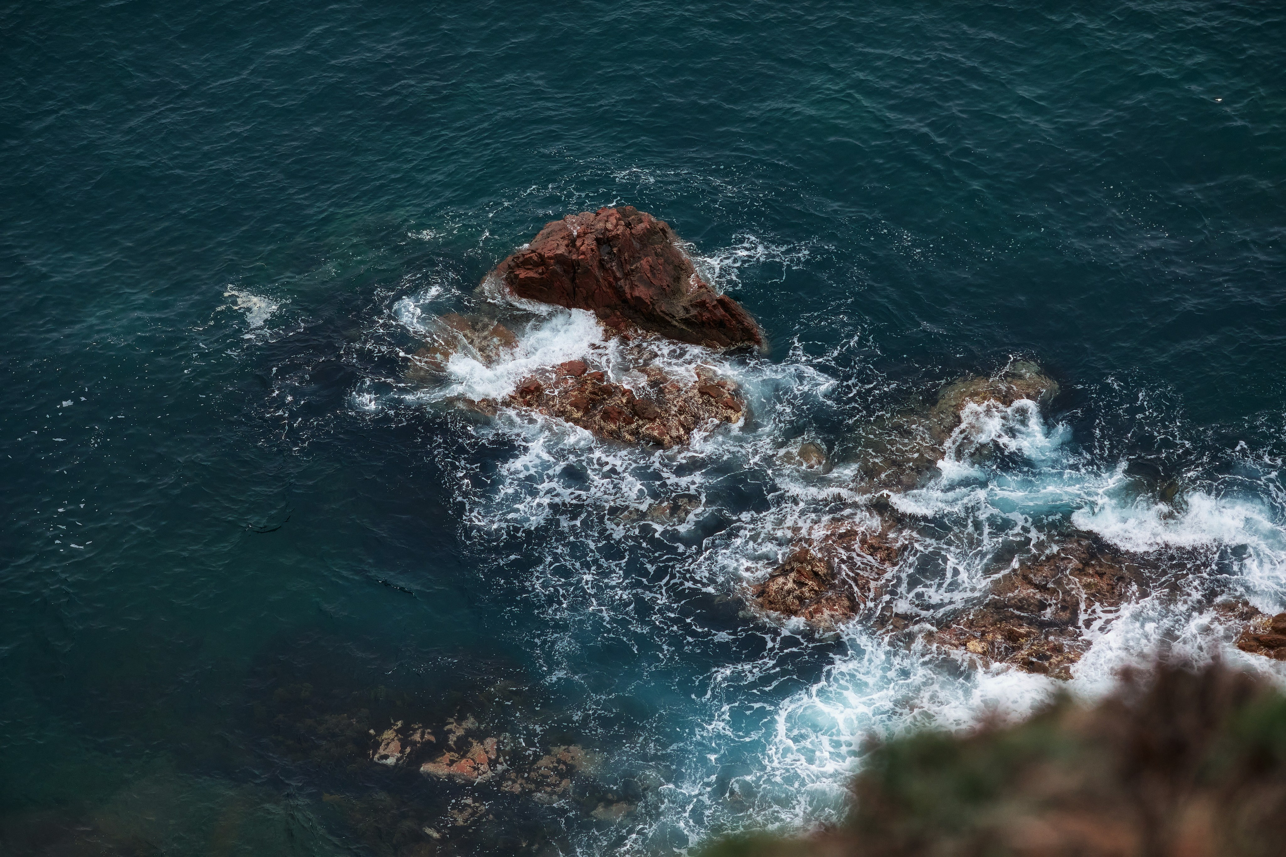 Вид с вершины острова Шкота