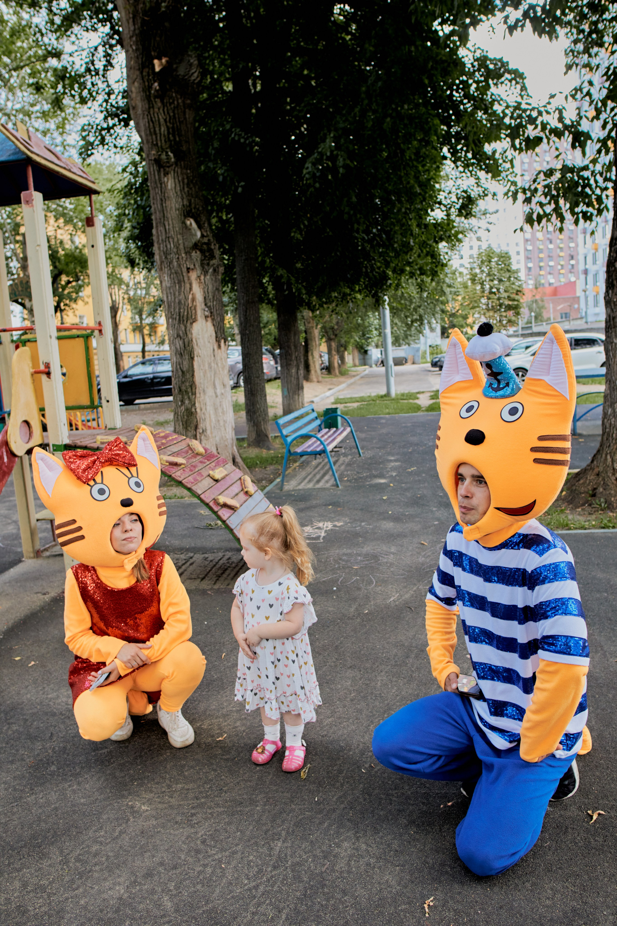 Три кота. Фотограф Москва