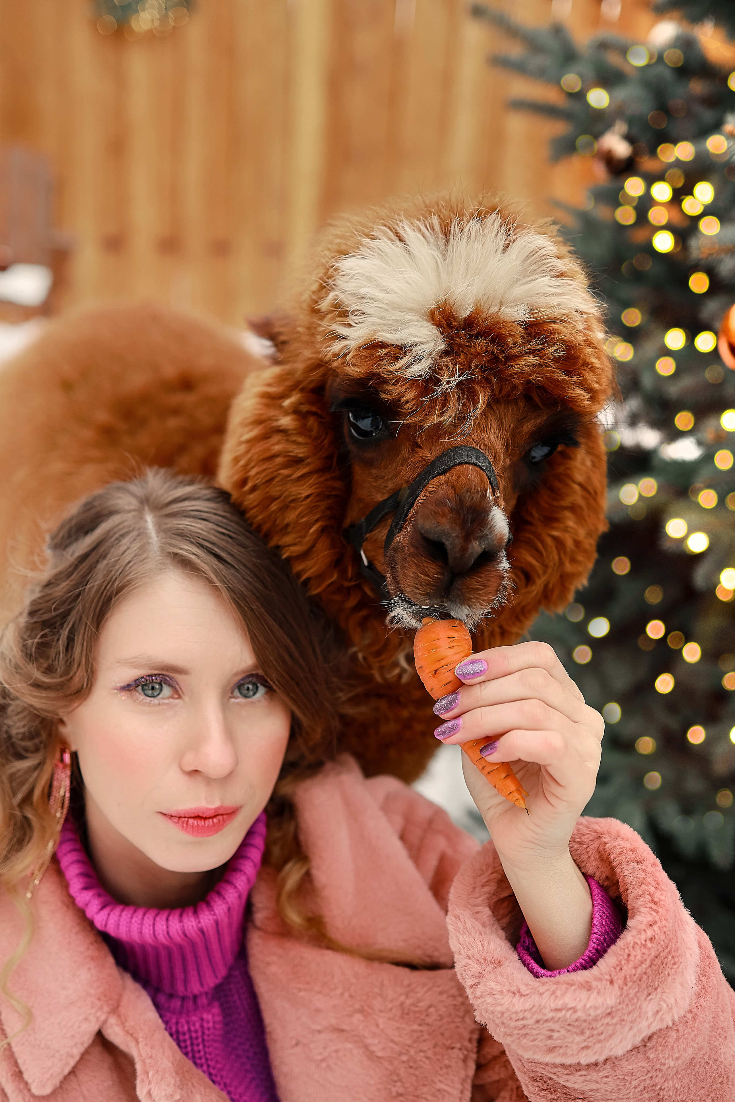 Фотосессия с Альпакой. Иванова Ирина Свадебный и семейный фотограф г. Уфа