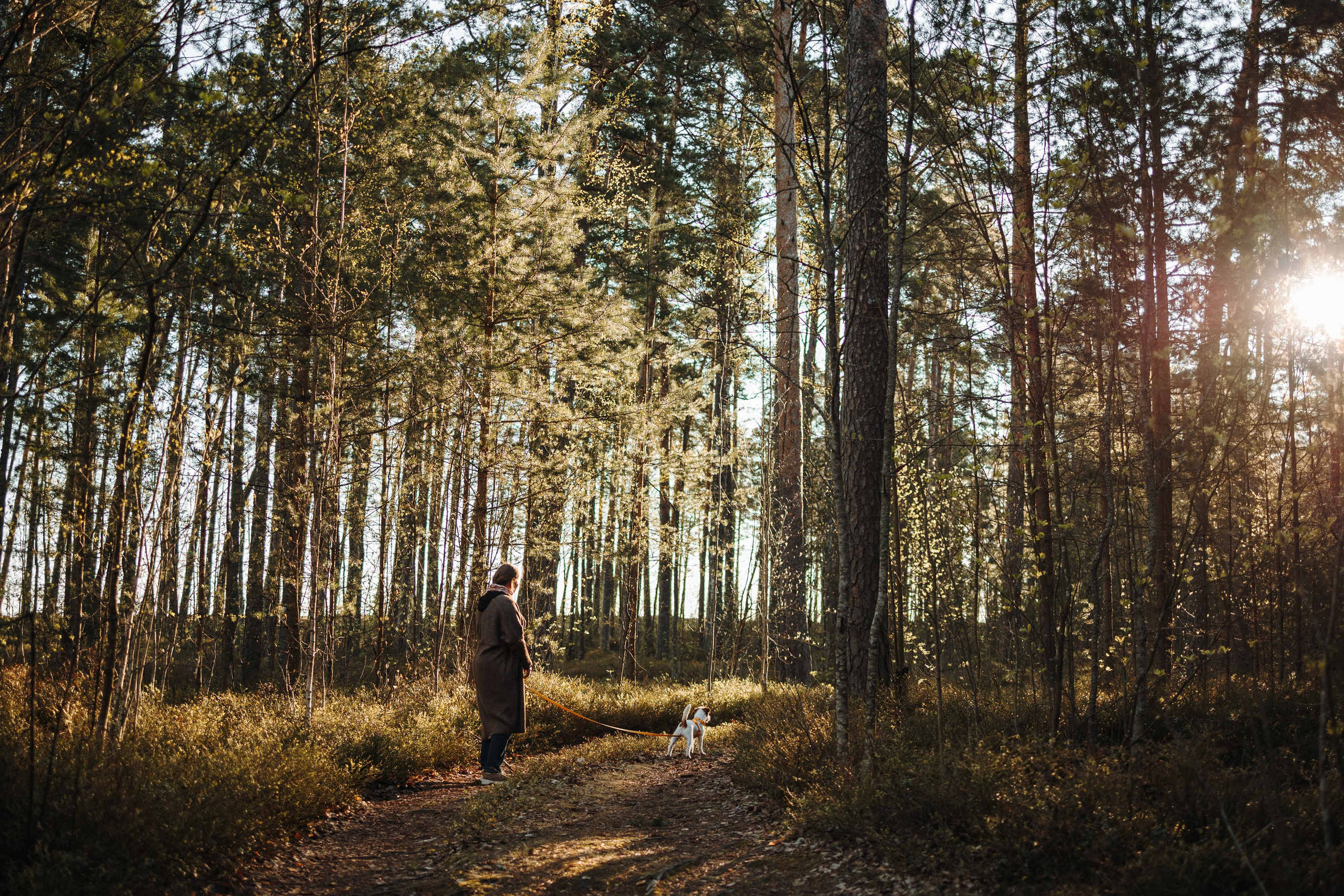 Катя и ее девочки. Фотограф — Анималист | Санкт-Петербург