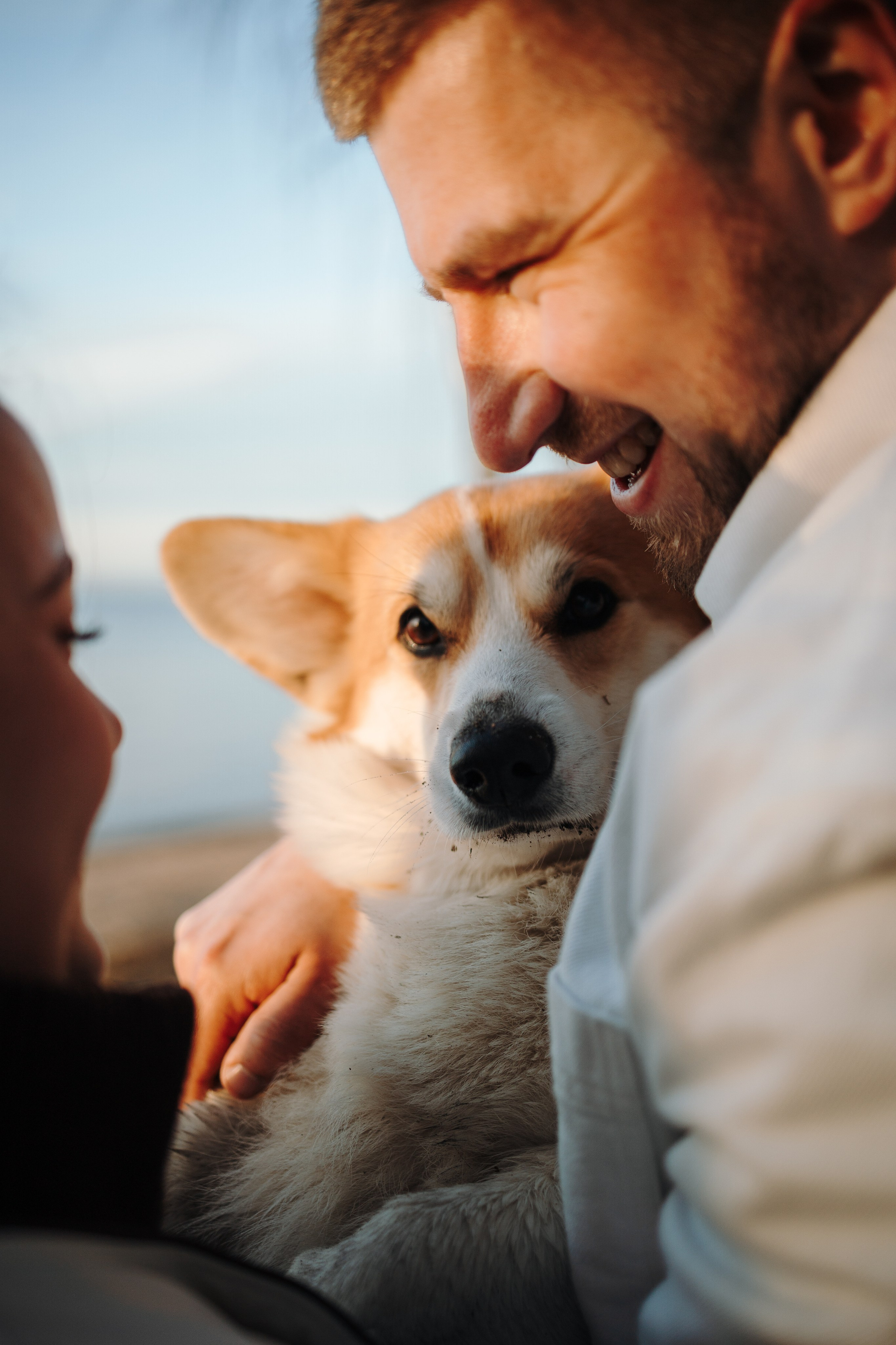 Найт и его семья. Фотограф — Анималист | Санкт-Петербург