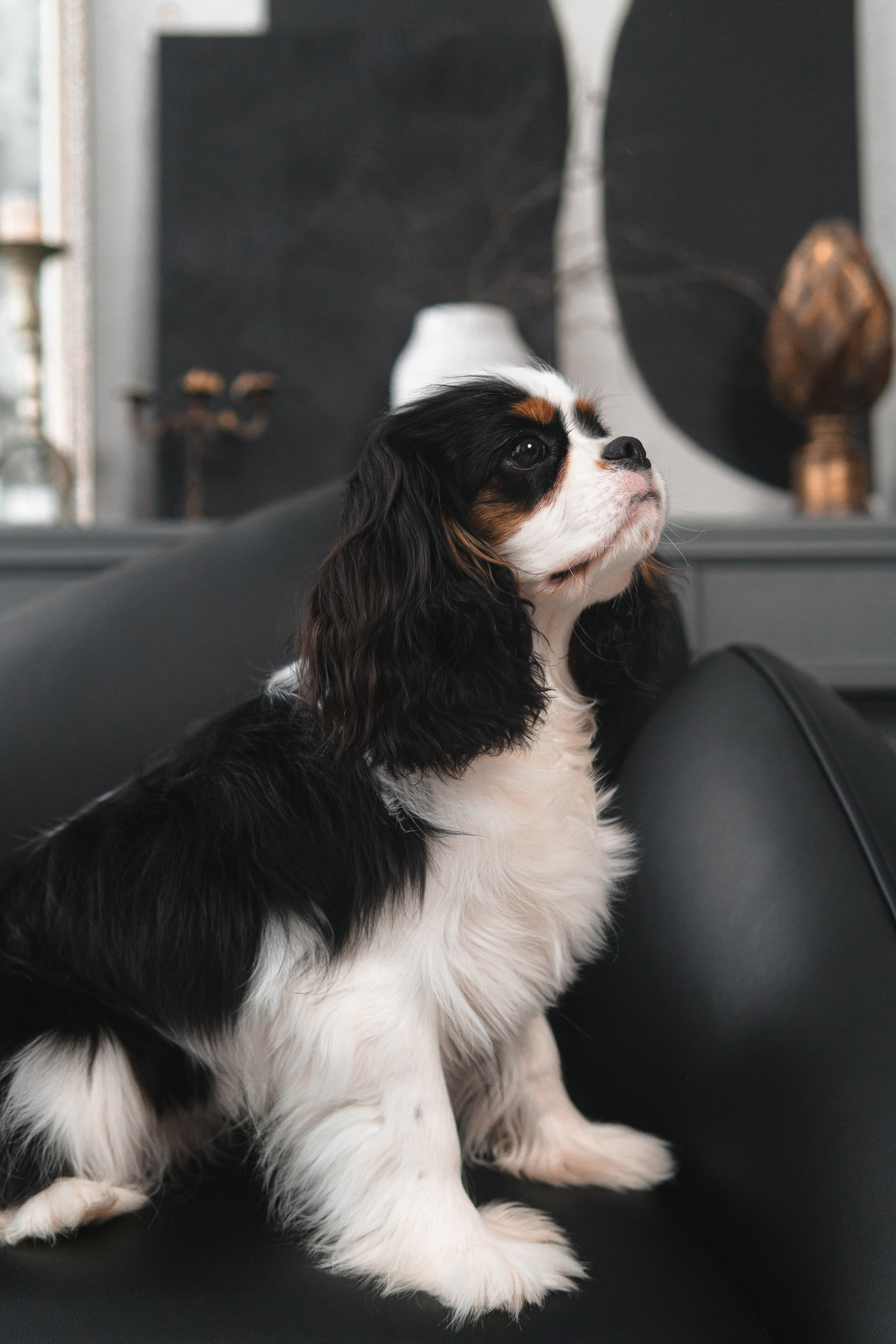 Фотограф Анастасия Пузикова. Фотостудия Минималист