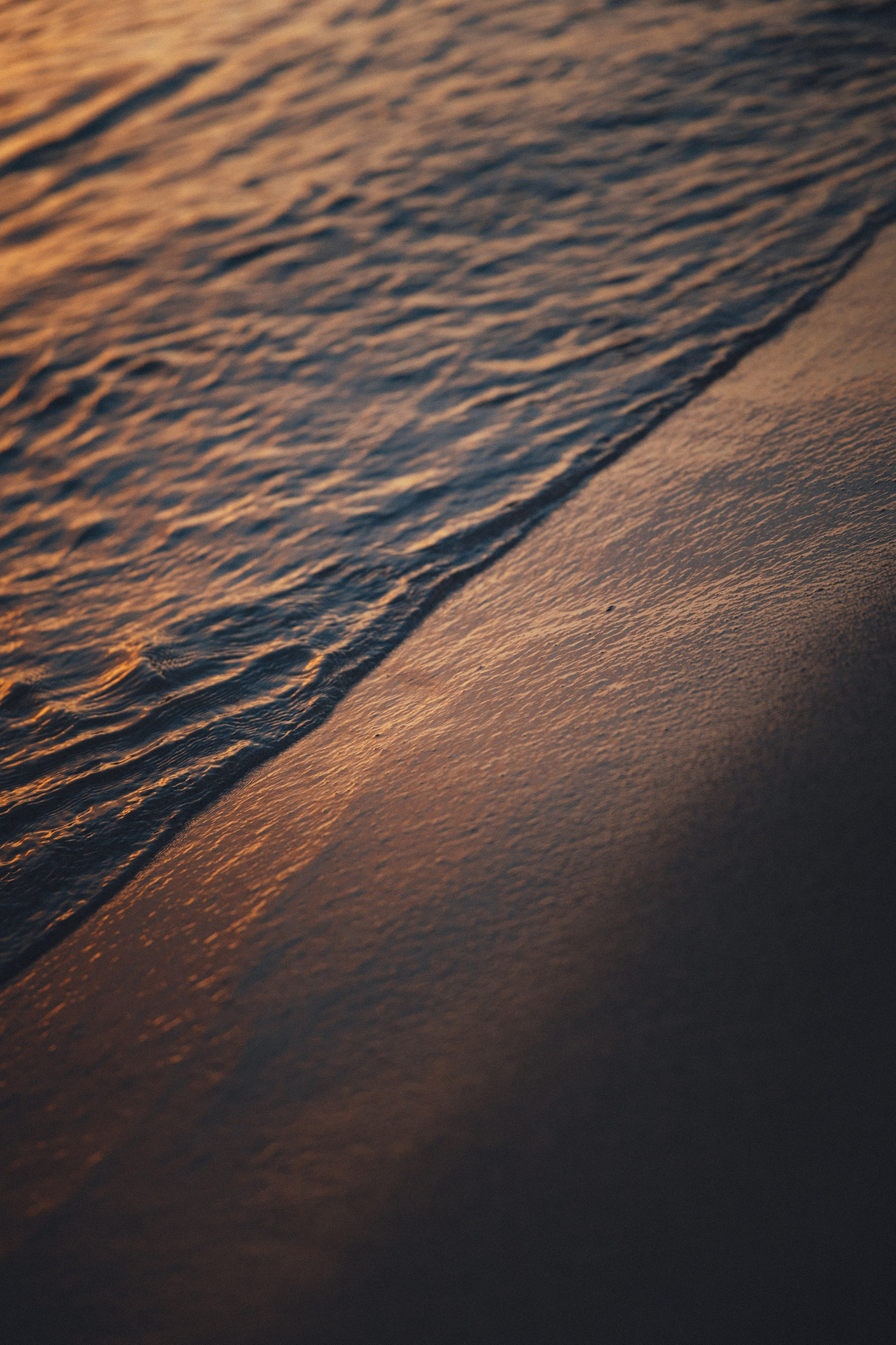 Влад и Лиза / Янтарный. Фотограф Калининград Илья Миллер