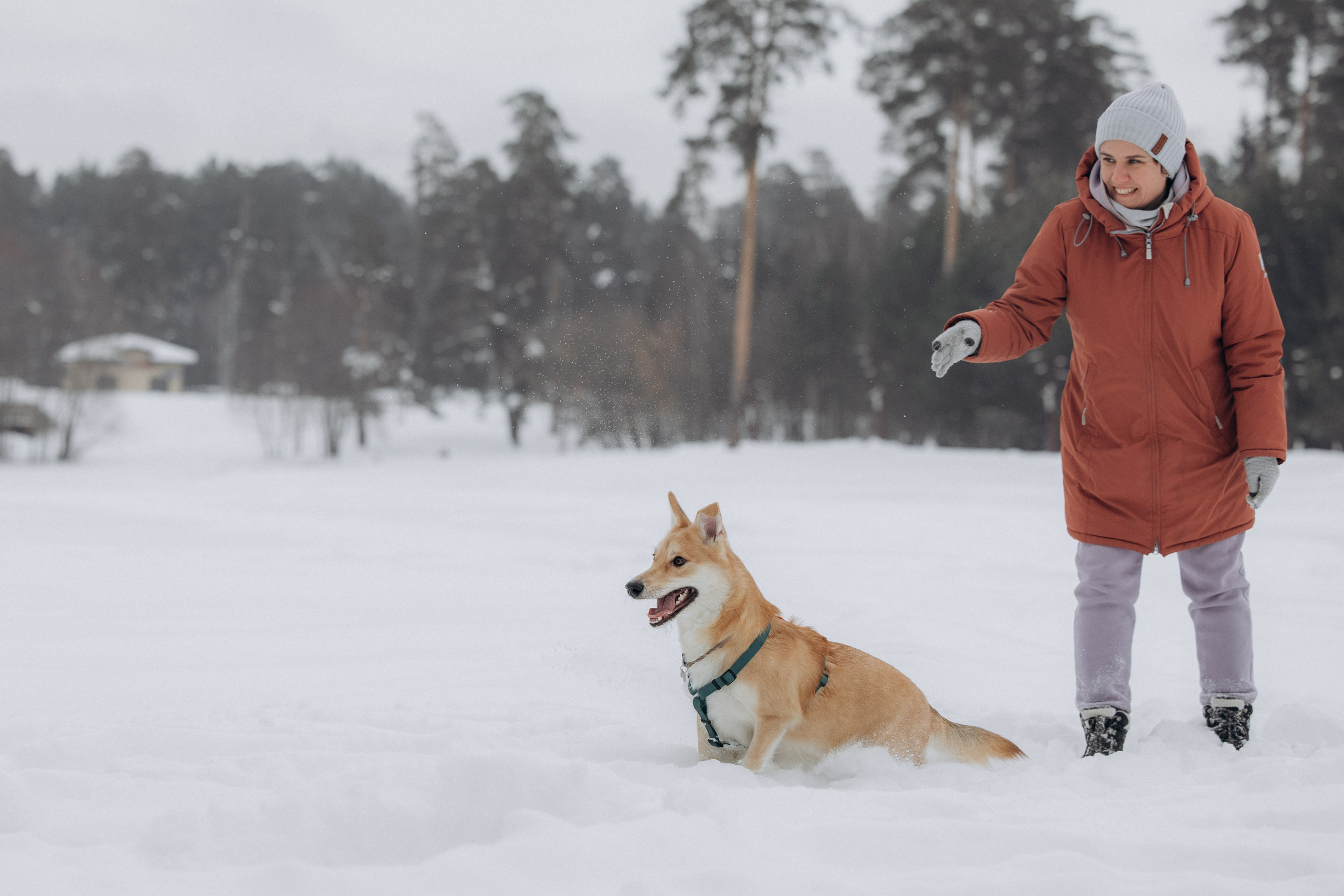Прогулка на озере зимой. Фотограф анималист в Казани Алина Сулейманова. Фотограф животных