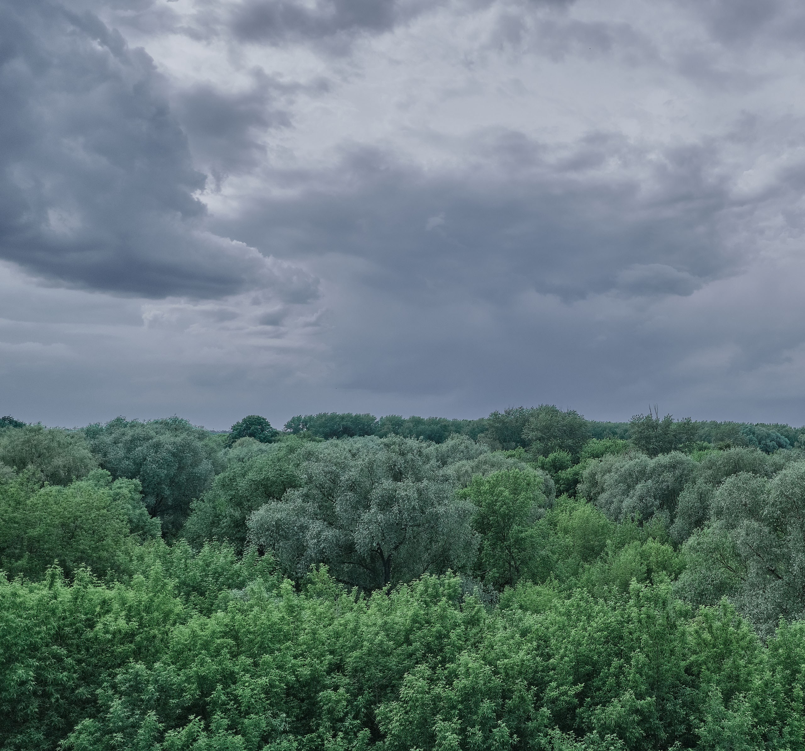 Фотоальбом с разными съёмками
