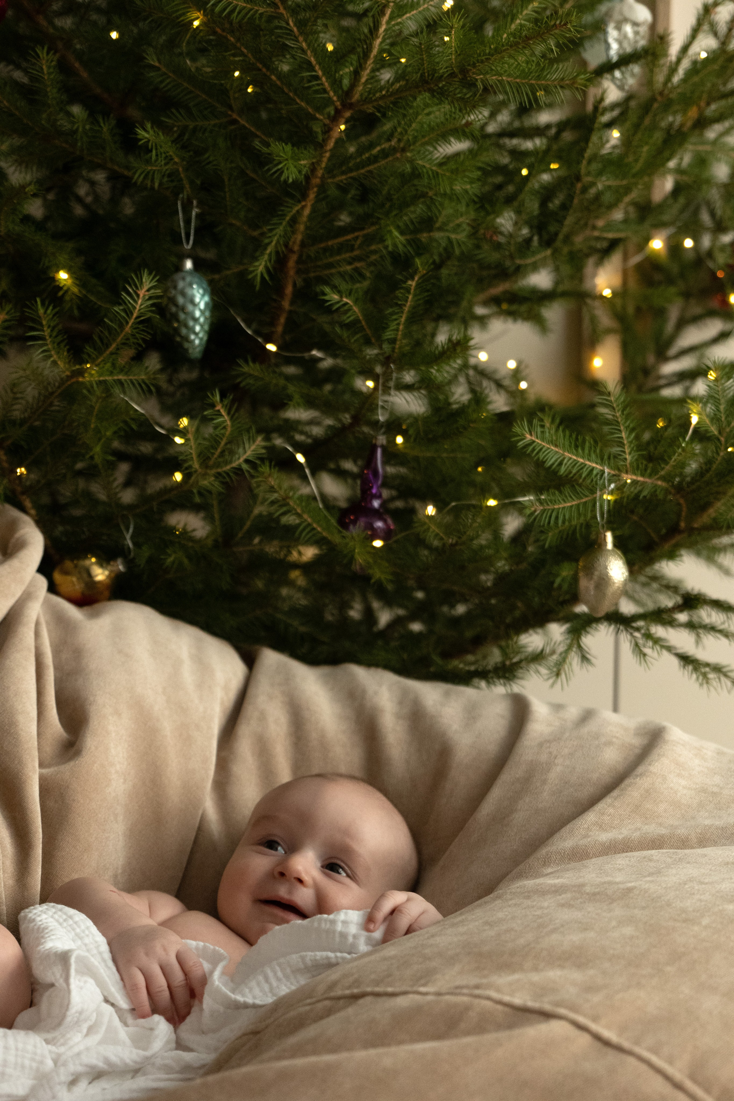 Домашняя новогодняя фотосессия с малышом. Фотограф видеограф Ольга Василевская