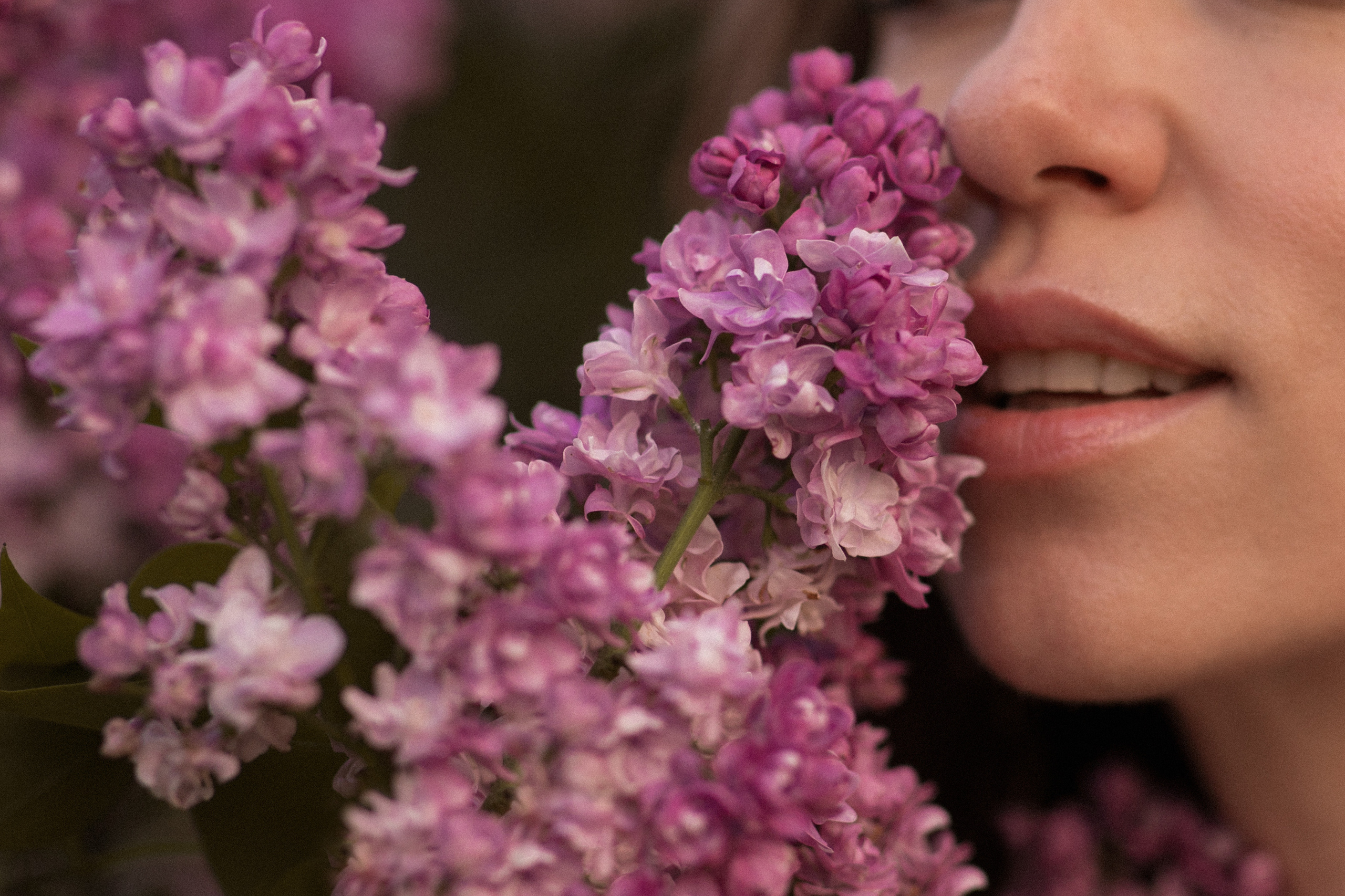 Сиреневый сад. Свадебные видео