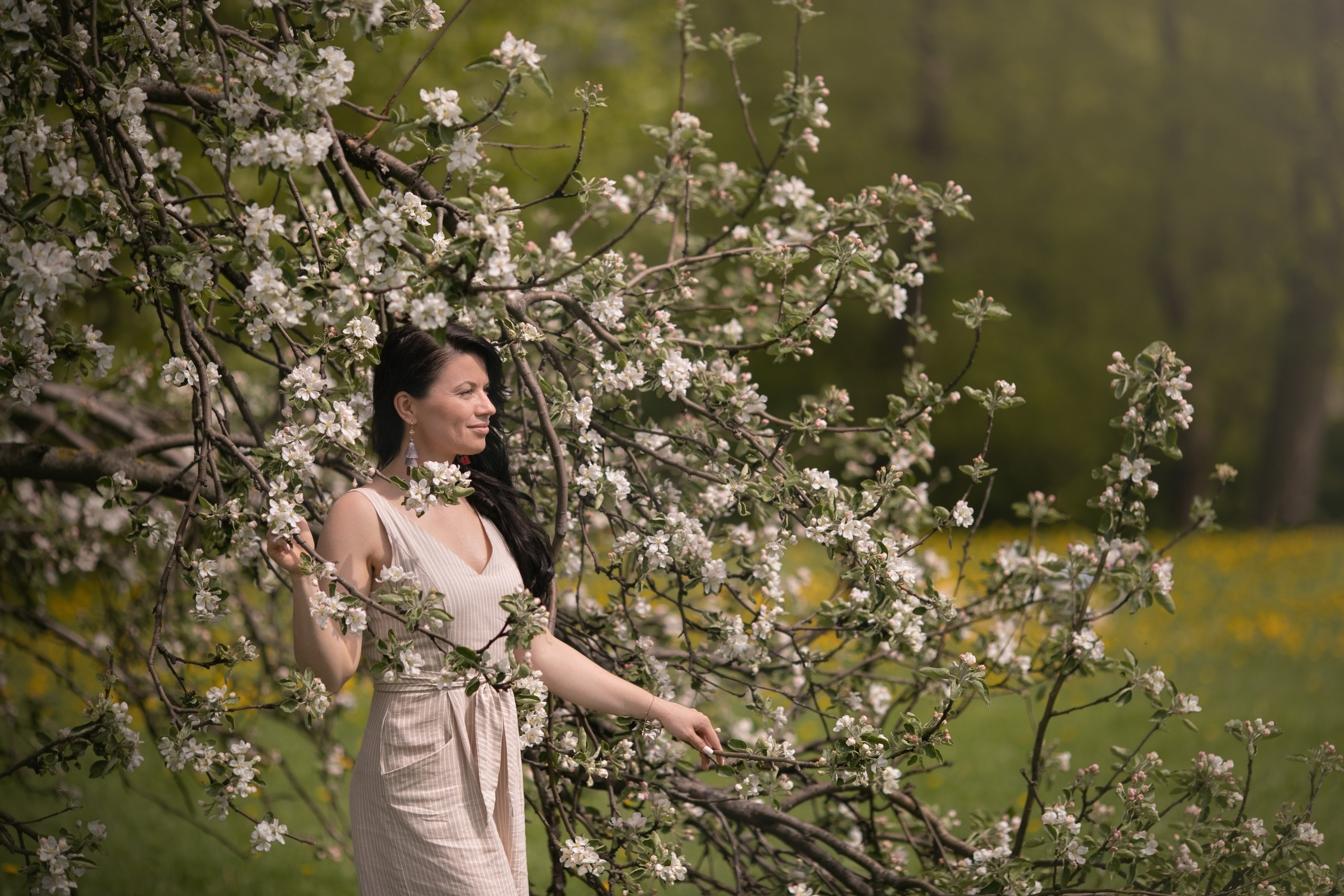 Цветения в парке Коломенское. Свадебные видео