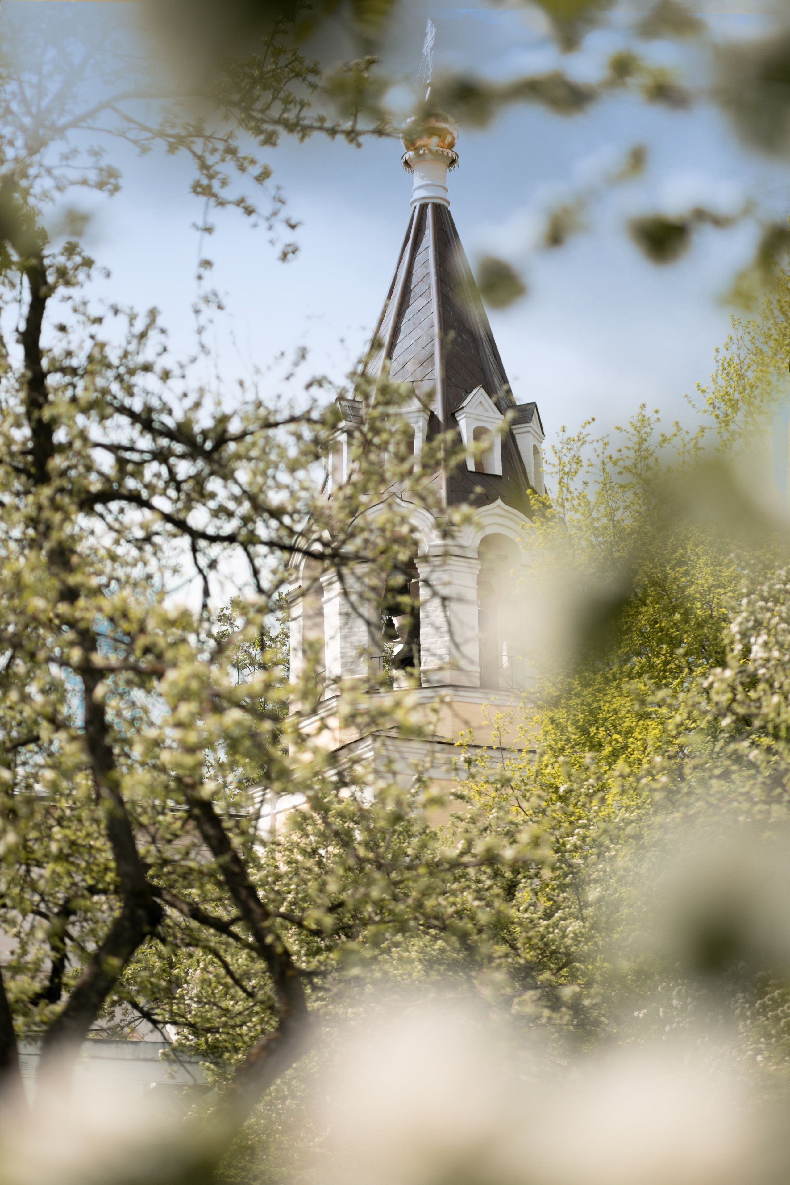 Цветения в парке Коломенское. Свадебные видео