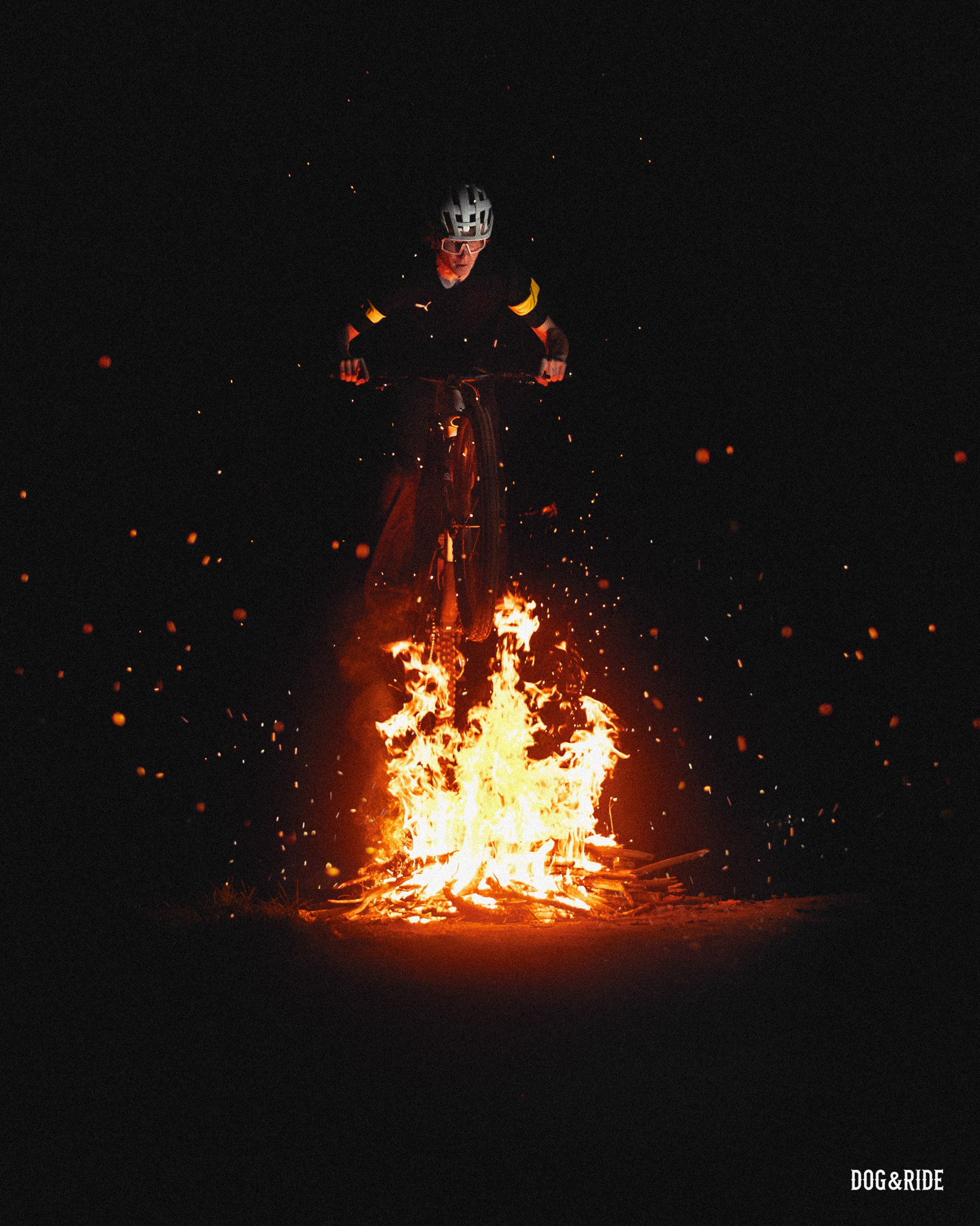 Шабаш. Фотограф анималист Никита Натальный