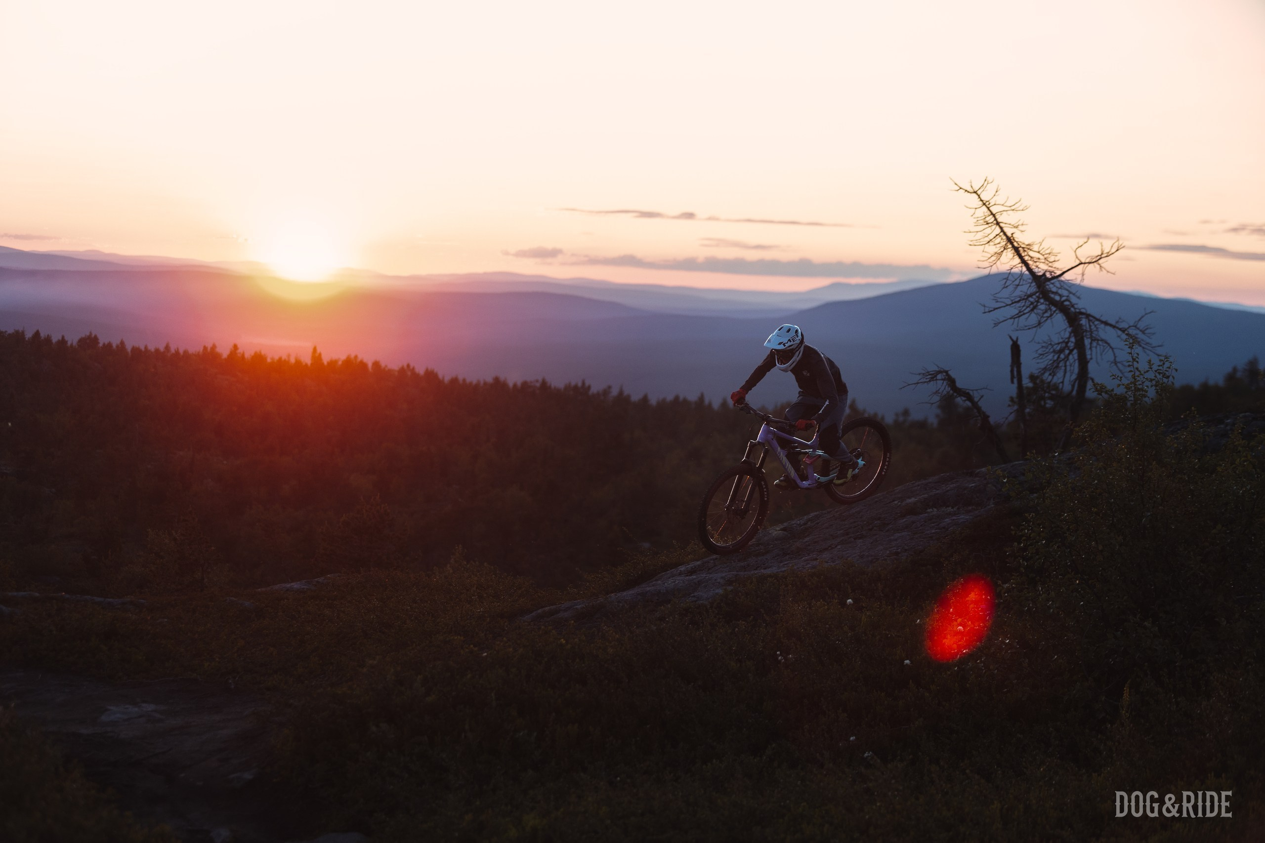 Кандалакшка. Фотограф анималист Никита Натальный