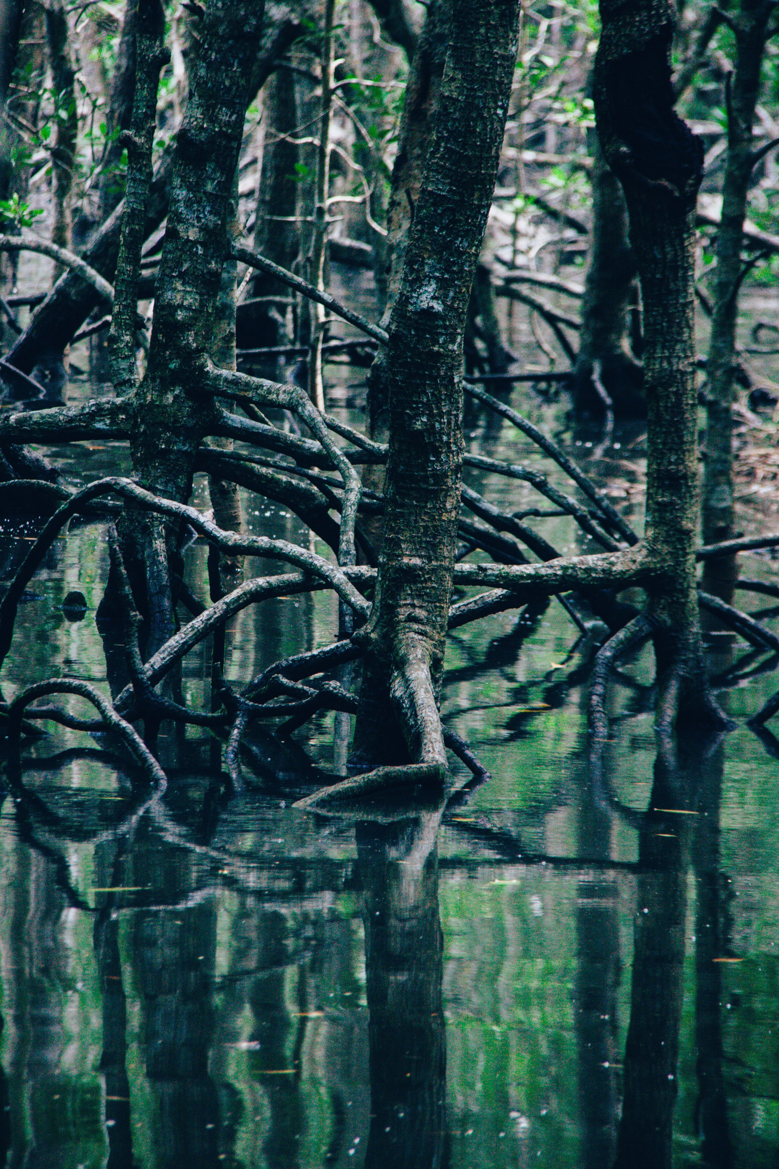 Malaysia. ДарияГалямова — фотограф: открытый, творческий, коммерческий