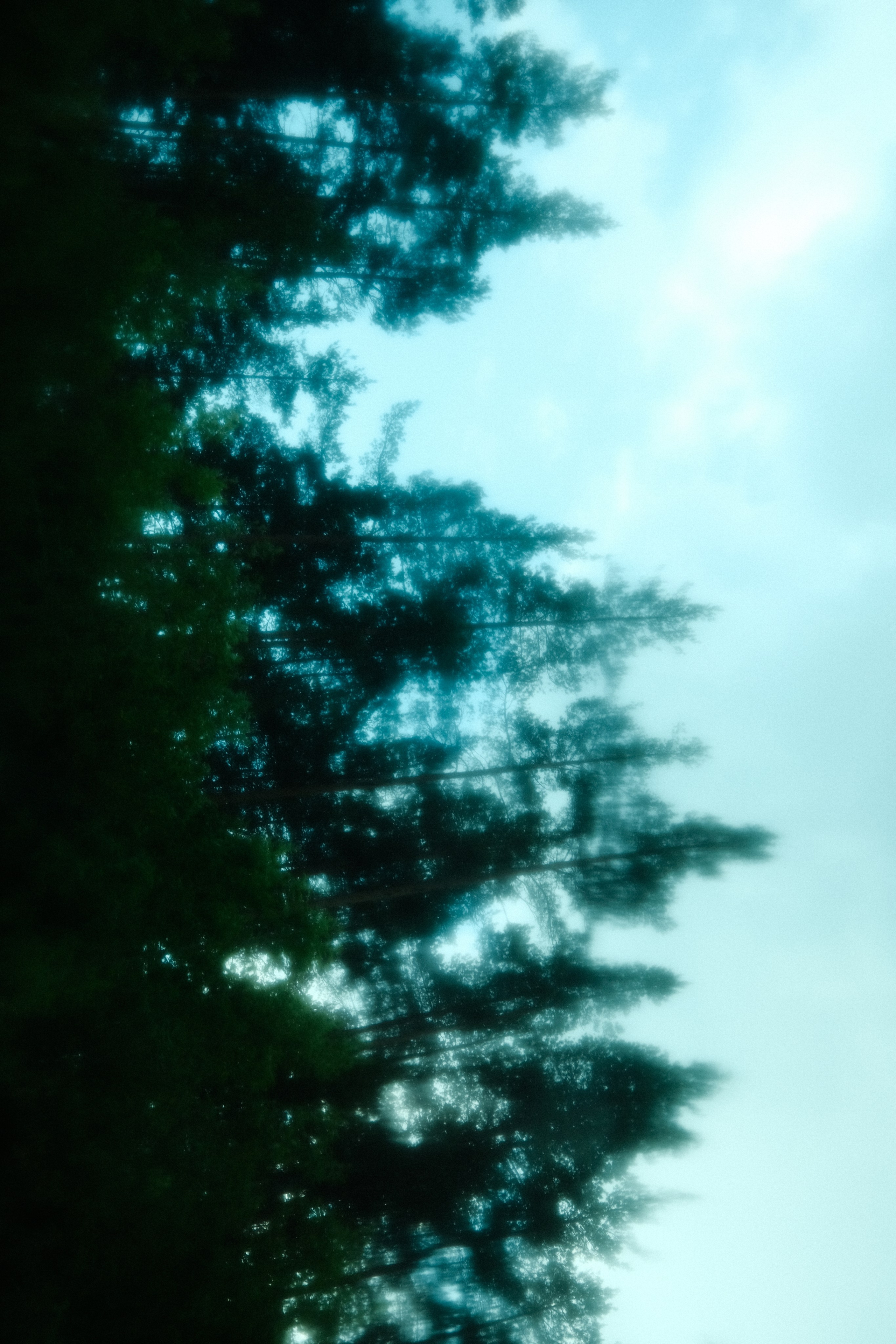 Невесомость. Портретный фотограф