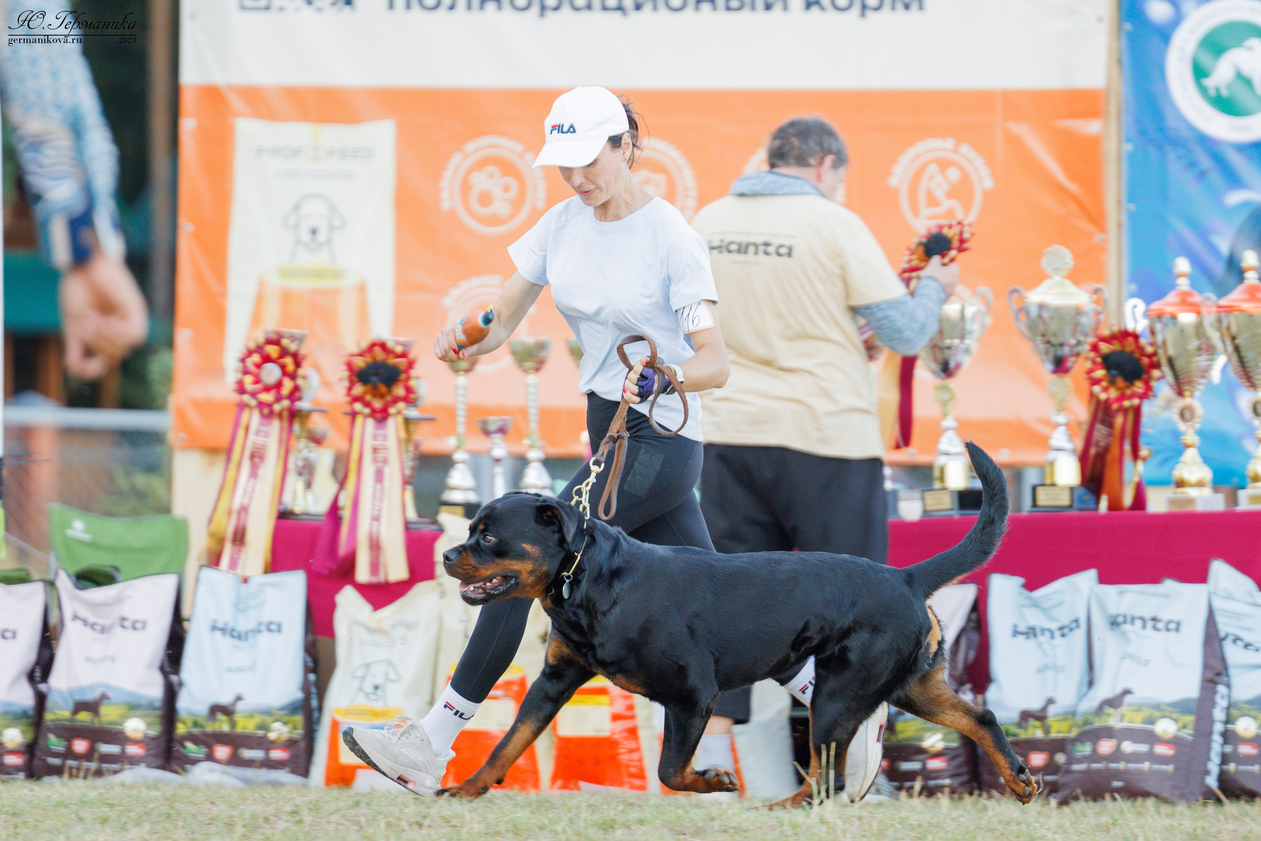 ПК и КЧК ротвейлеры Тверь 6-7.07.2024. Фотограф-анималист Юлия Германика